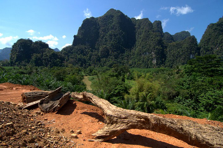 Parque Nacional Khlong Phanom, por Leo&Vero