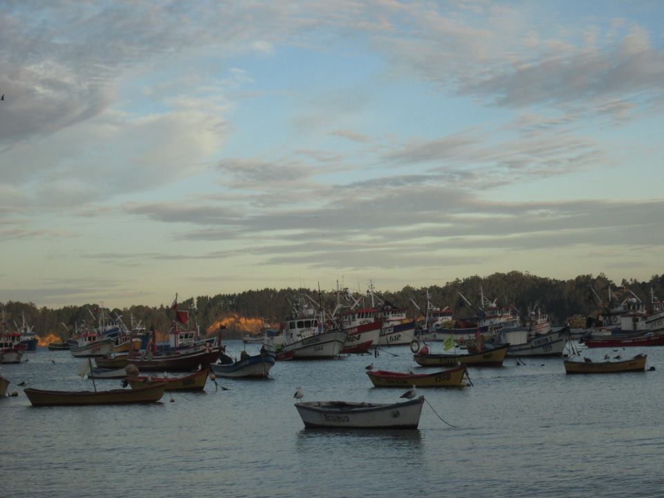 Puerto Pesquero, por César - Mochilero