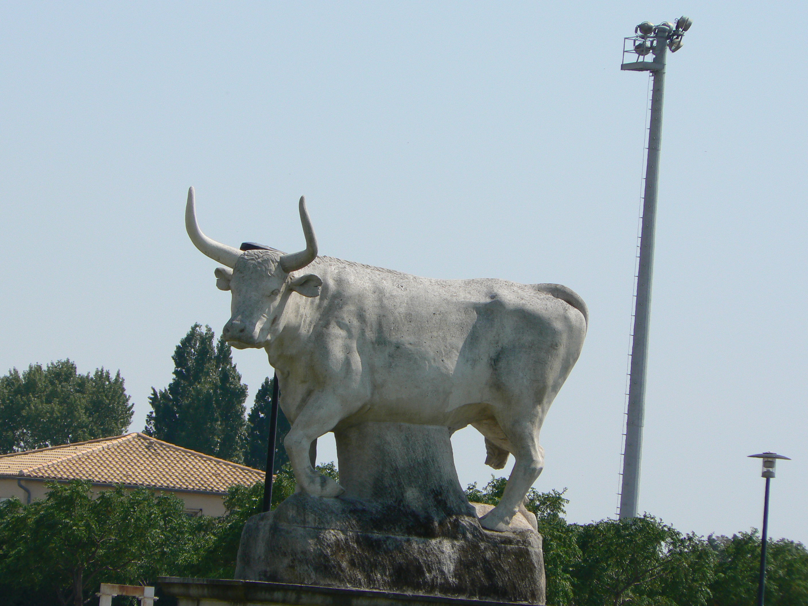 El toro, por Adeline B