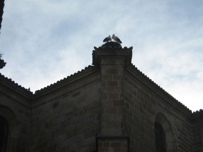 Iglesia de Santa María la Mayor de la Asunción, por Miskita