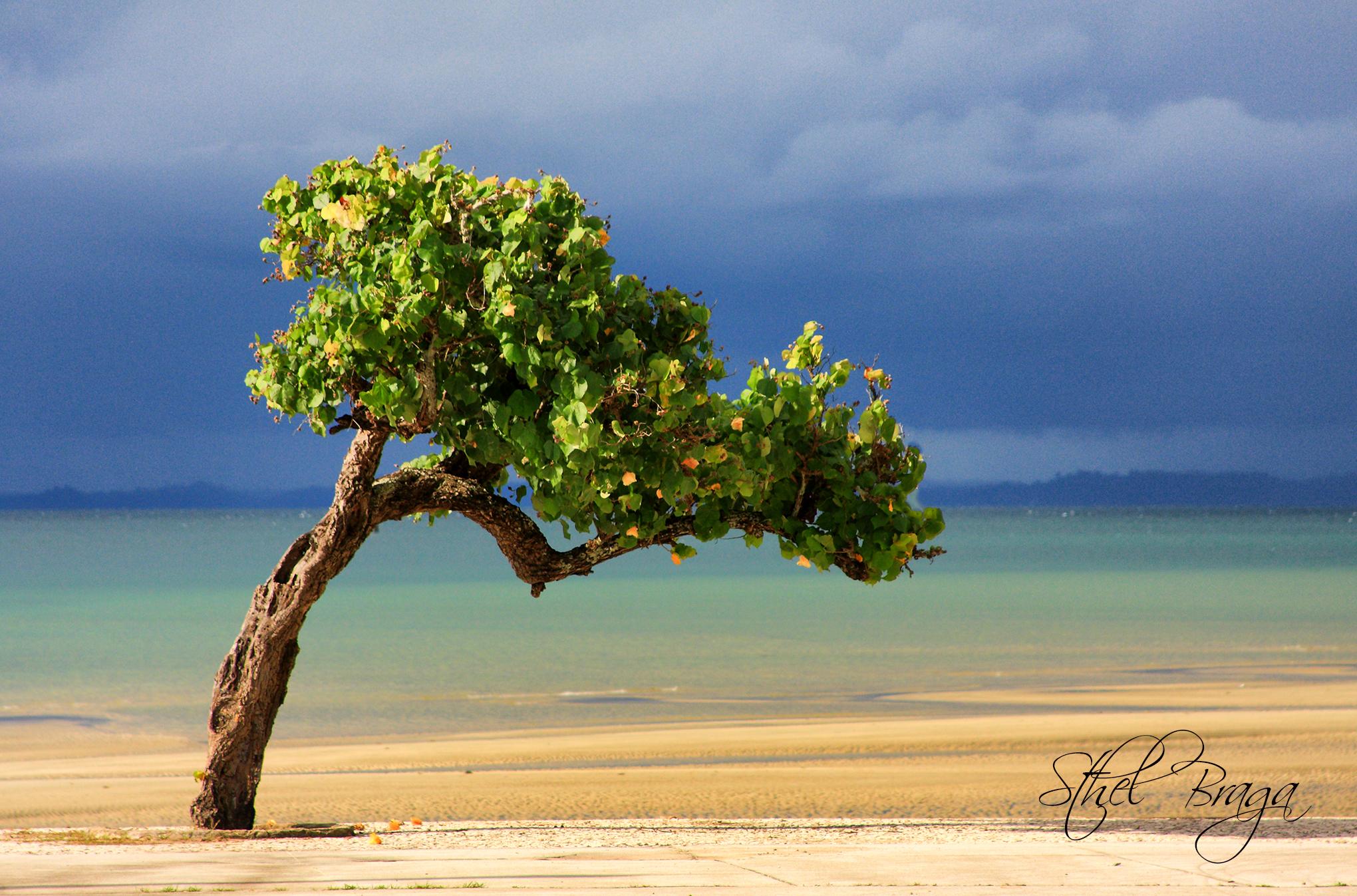 Playas de Itaparica, por Sthel Braga