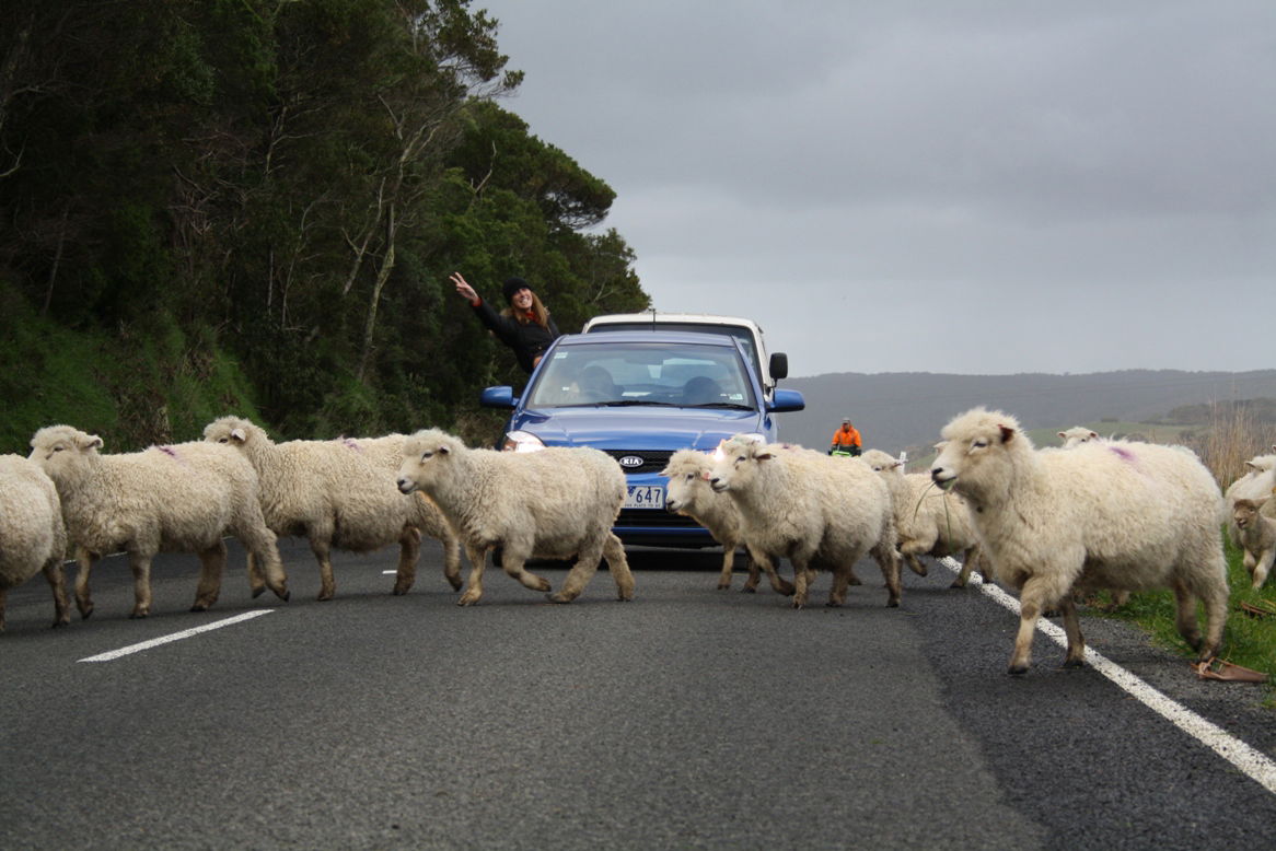 Great Ocean Road, por Mariana Vozone