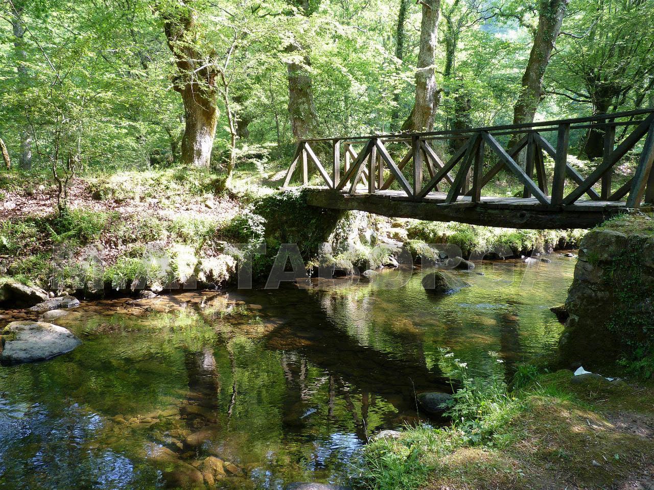 Robledal de Ucieda, por dartacan
