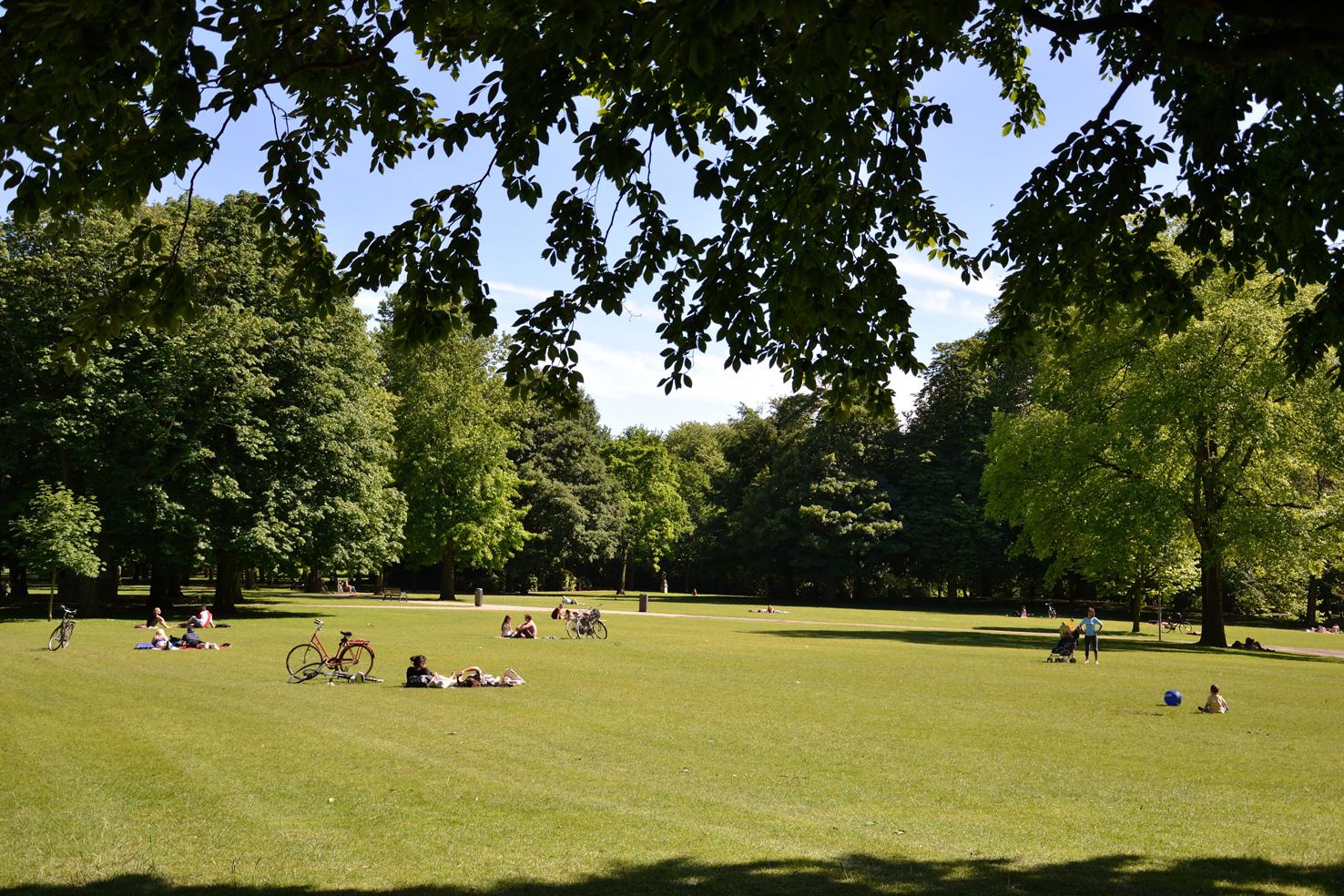 Het Park, por María López Fontanals