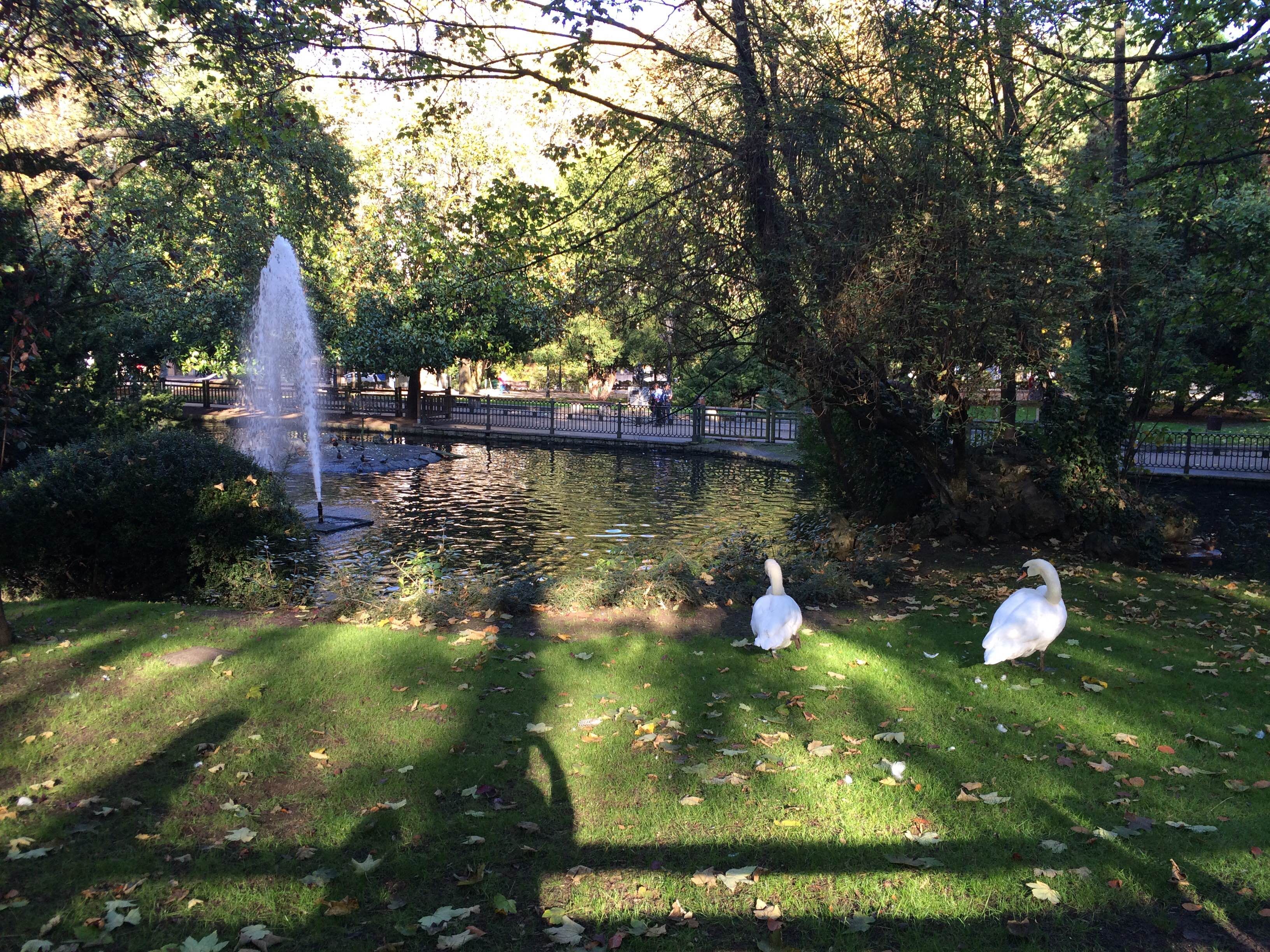 Parque San Francisco, por María Salazar