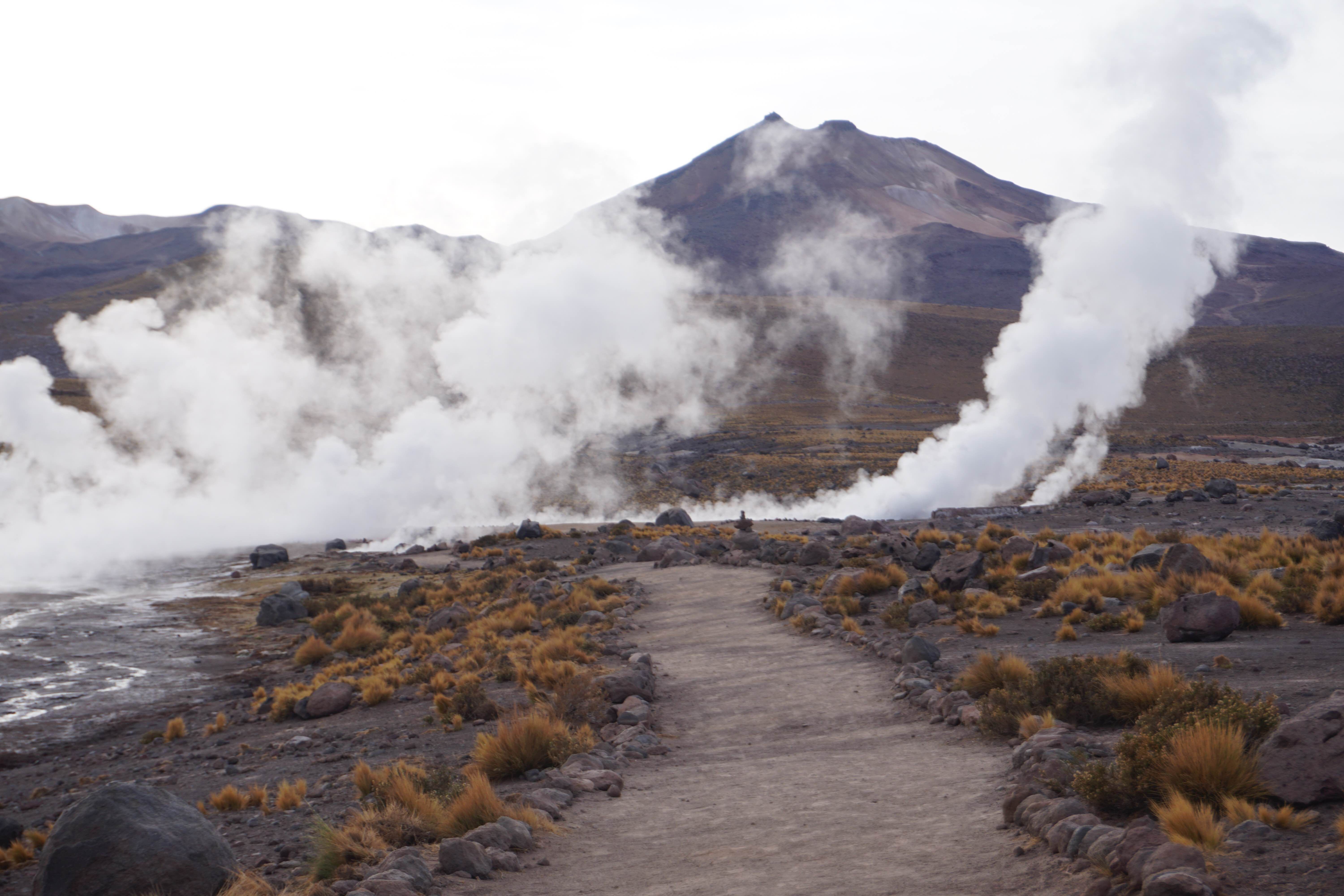 Reservas naturales en Antofagasta: tesoros ecológicos por descubrir