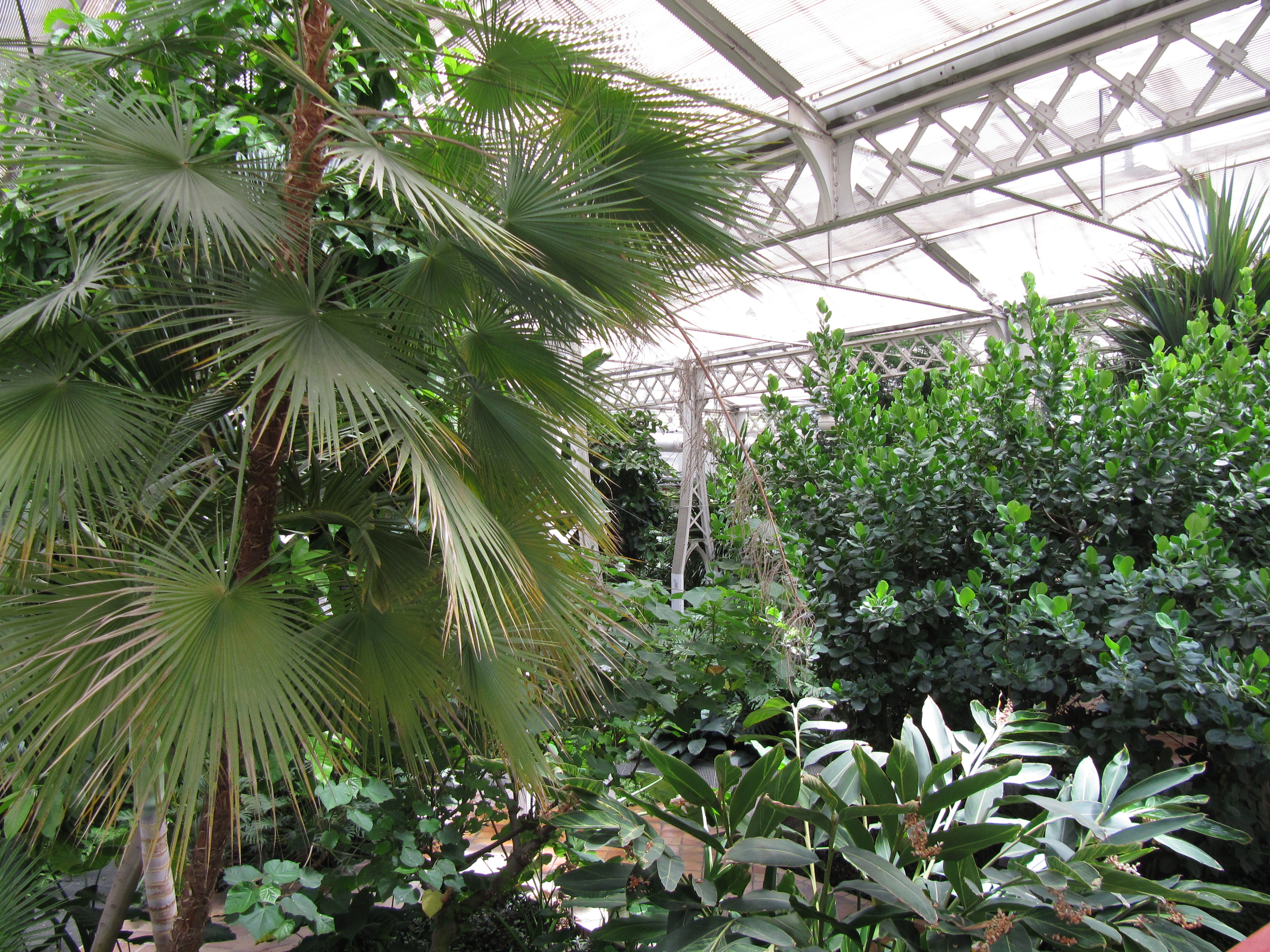 Invernadero del Palacio de Cristal de Arganzuela, por Cecitrotamundos