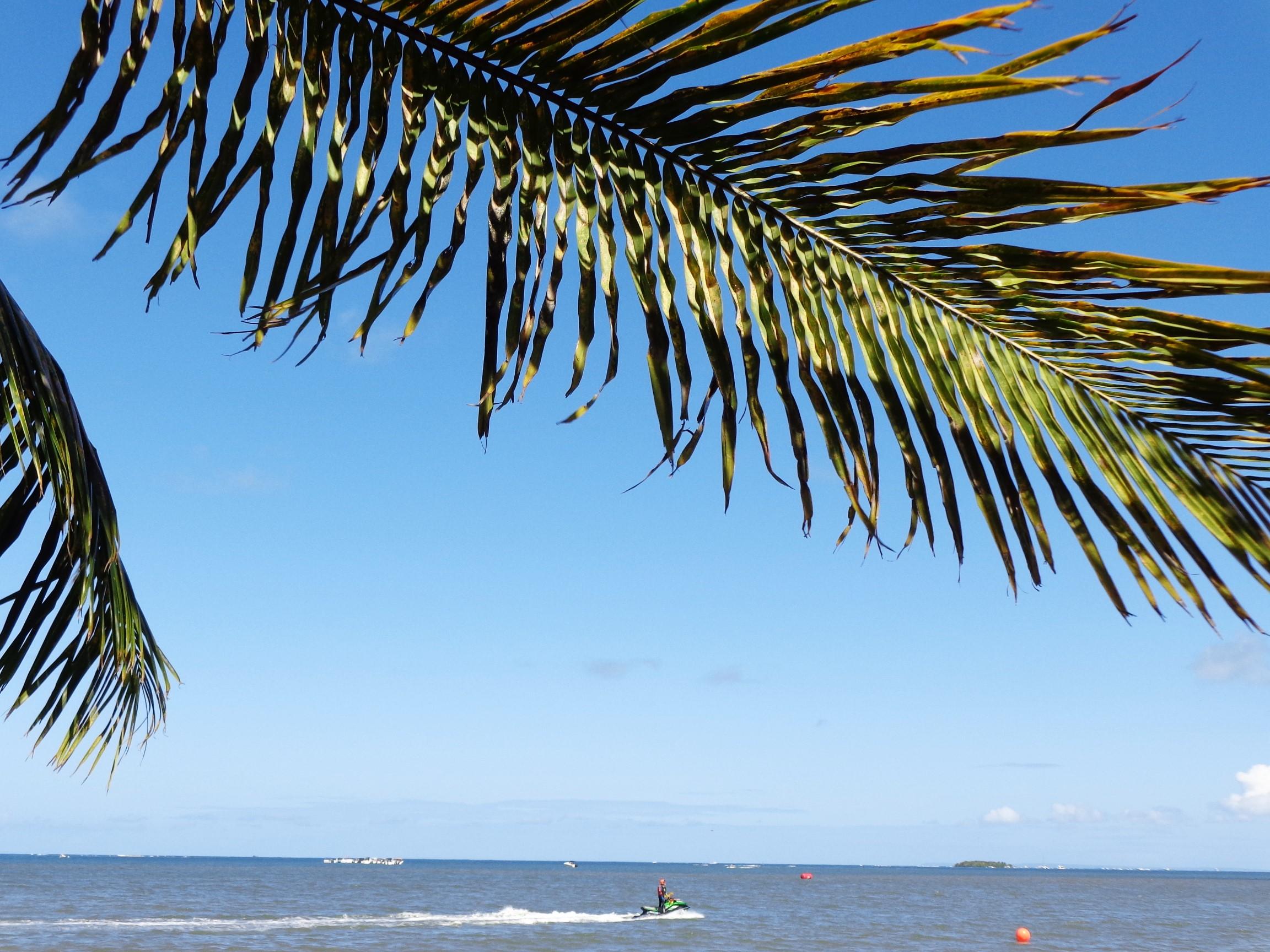 Plage de viard, por Naïs