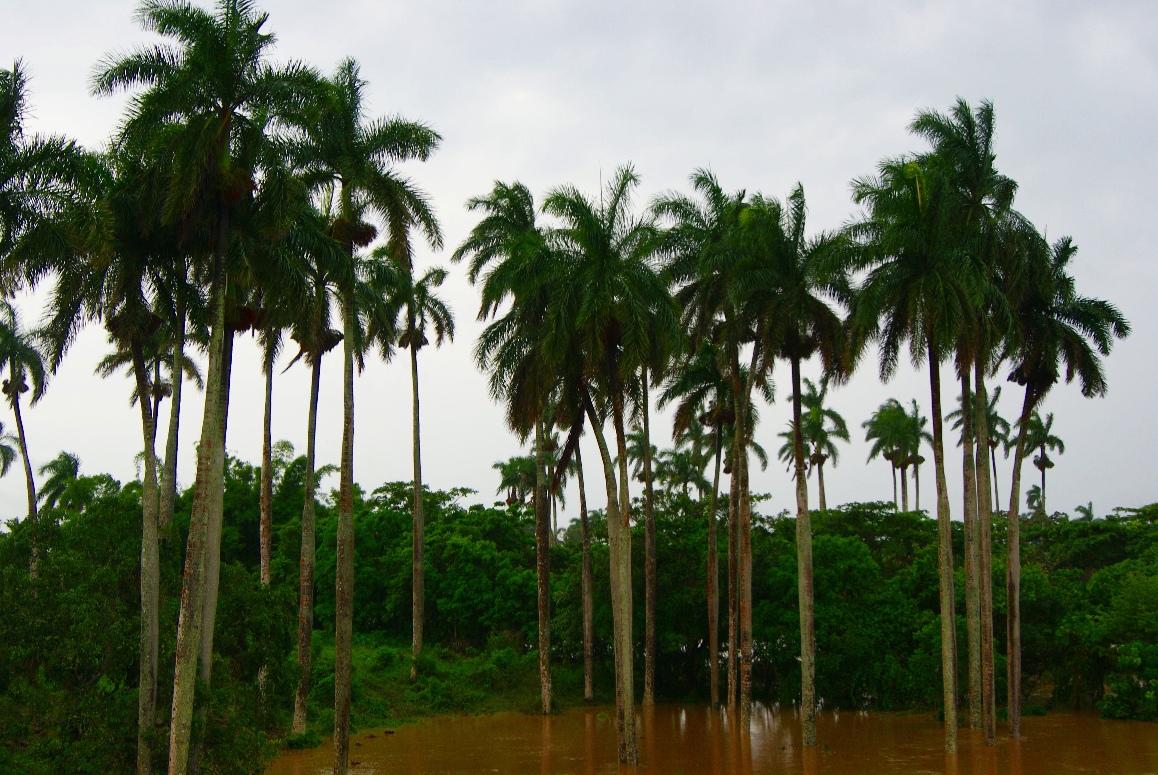 Sancti Spiritus, por Roberto Gonzalez