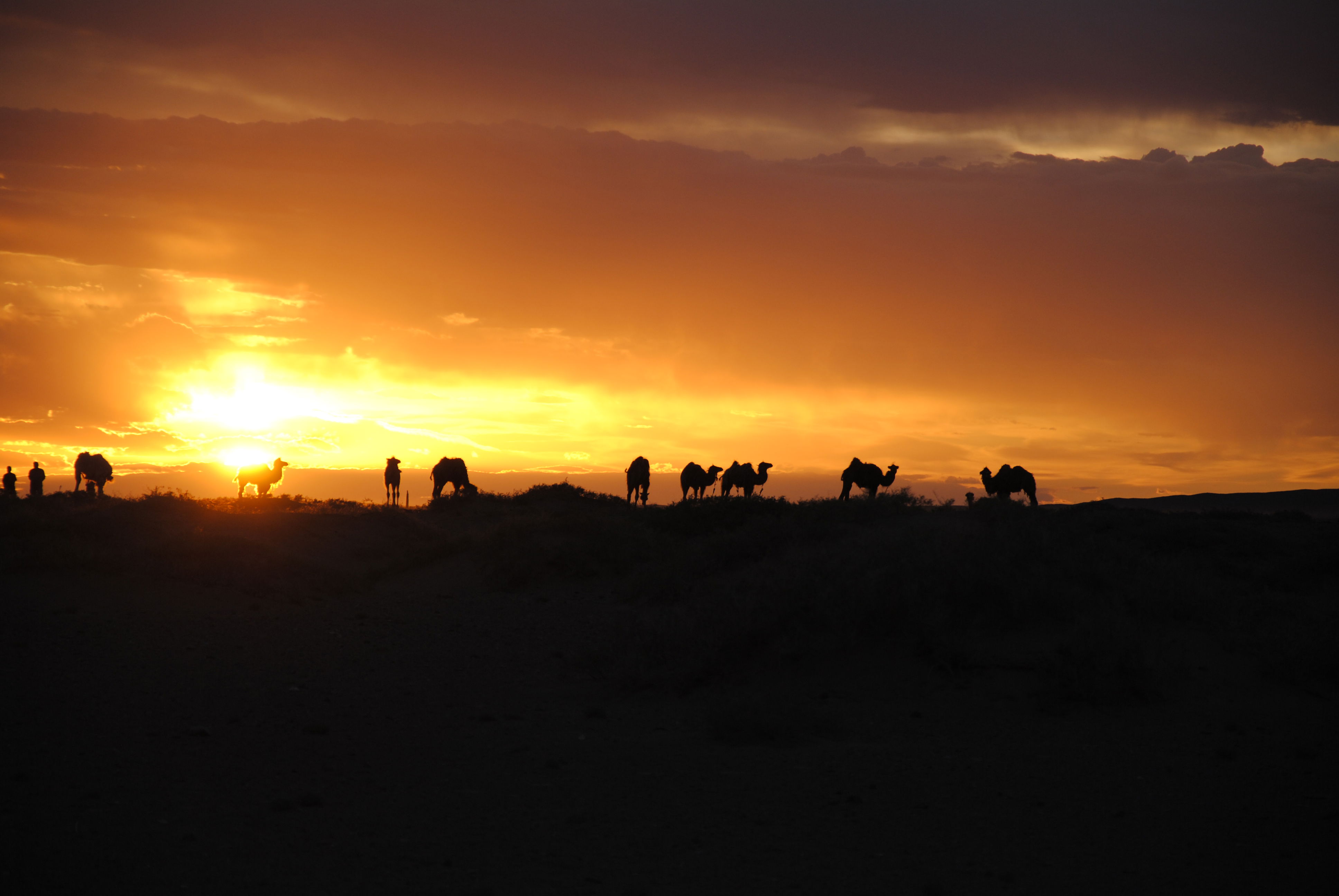 Las Dunas del Desierto del Gobi, por WTFdani