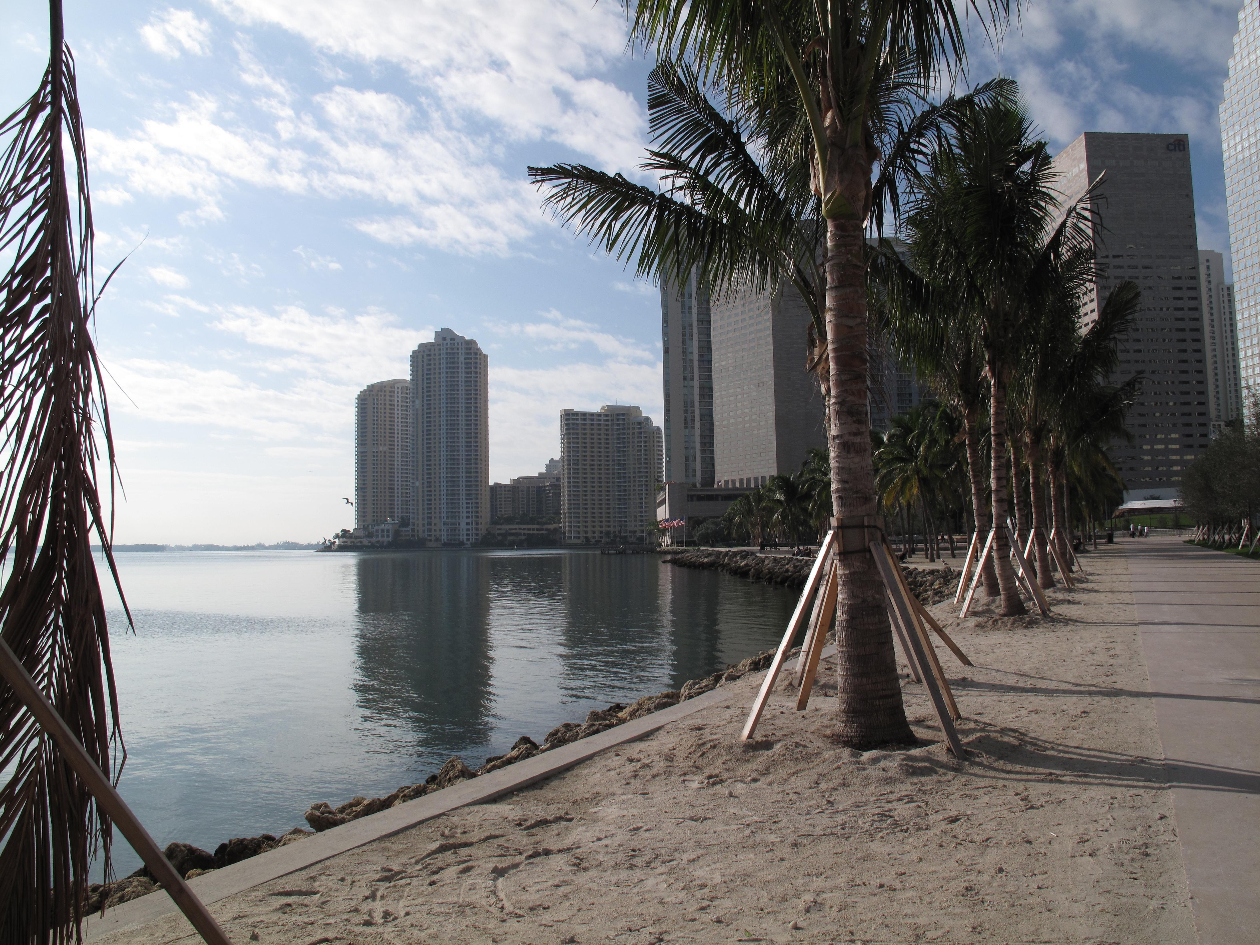 Aire libre en Miami: descubre los espacios ideales para disfrutar al sol