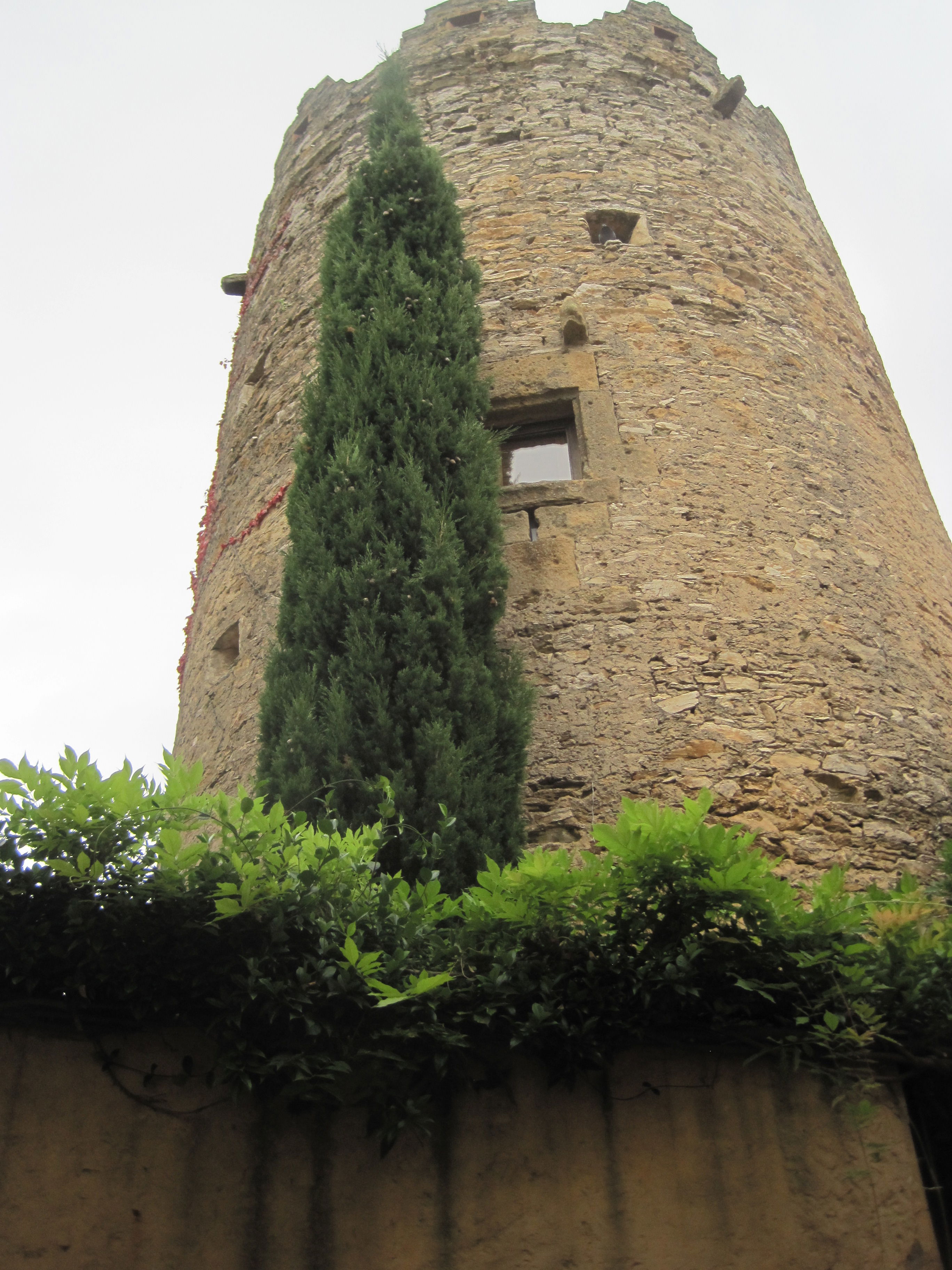 Torre de Can Marqués, por margsand