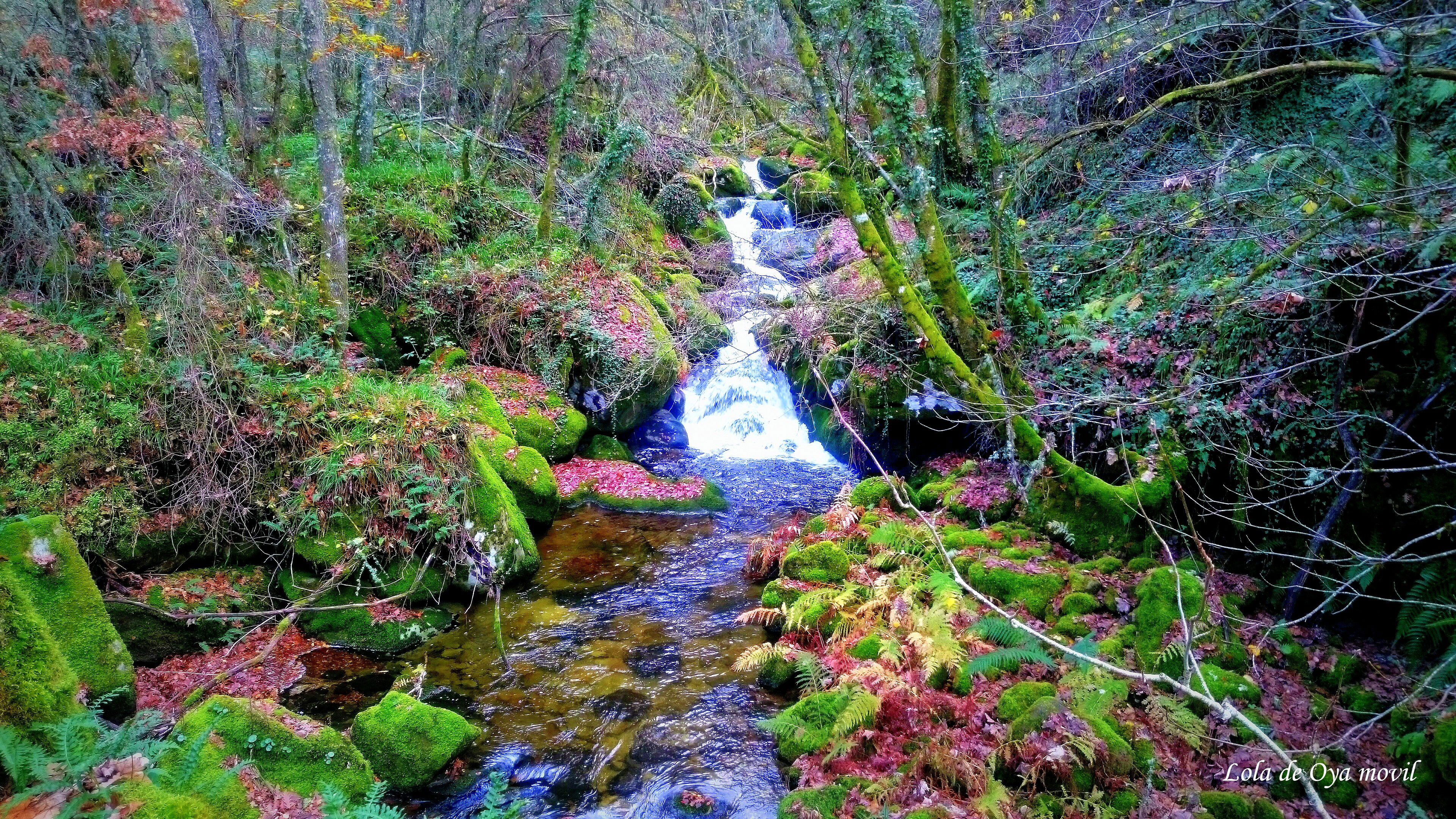 Embalse de Chandrexa de Queixa, por Lola de Oya García