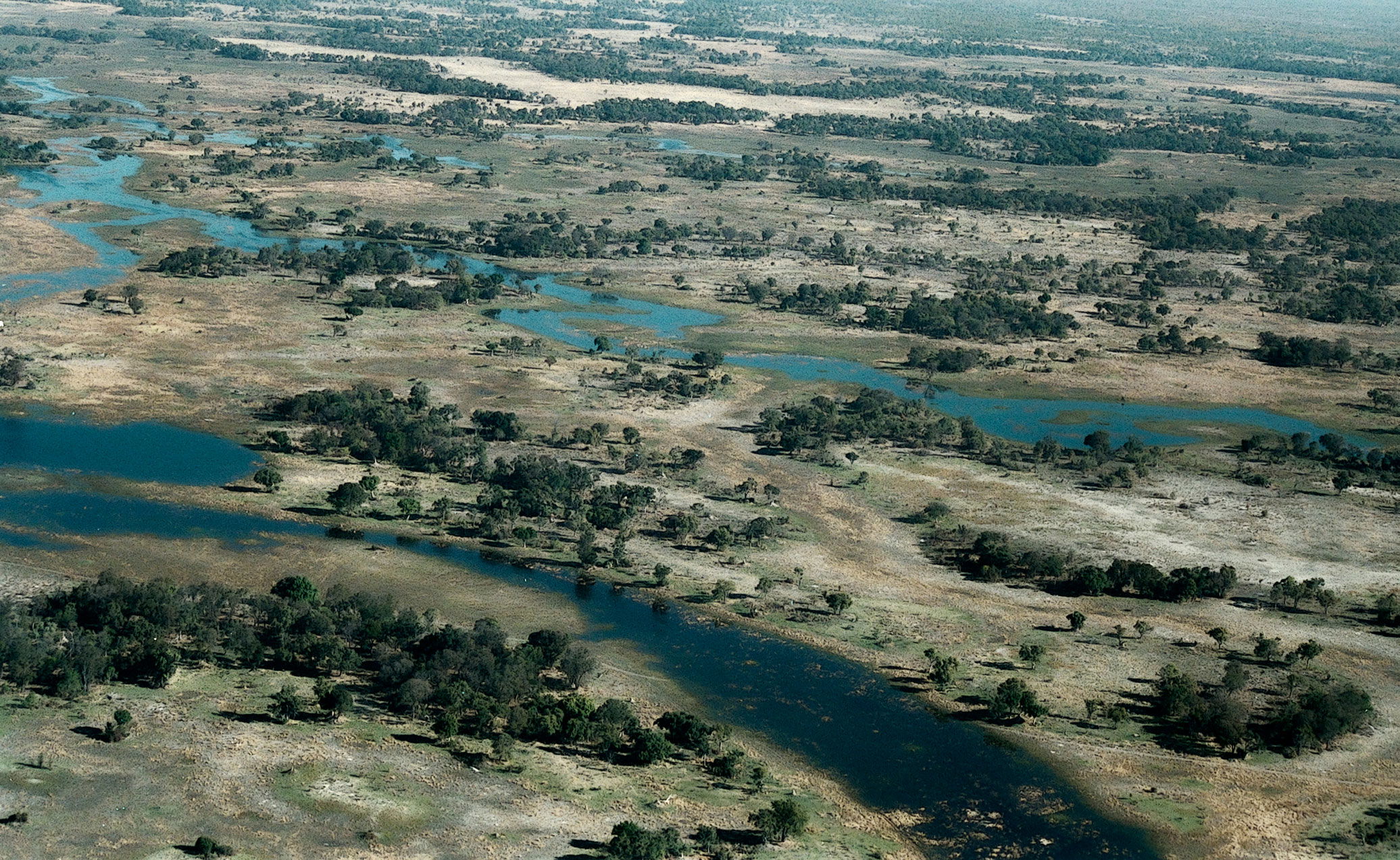 Acampada salvaje en el Delta del Okavango, por Alfonso Navarro Táppero