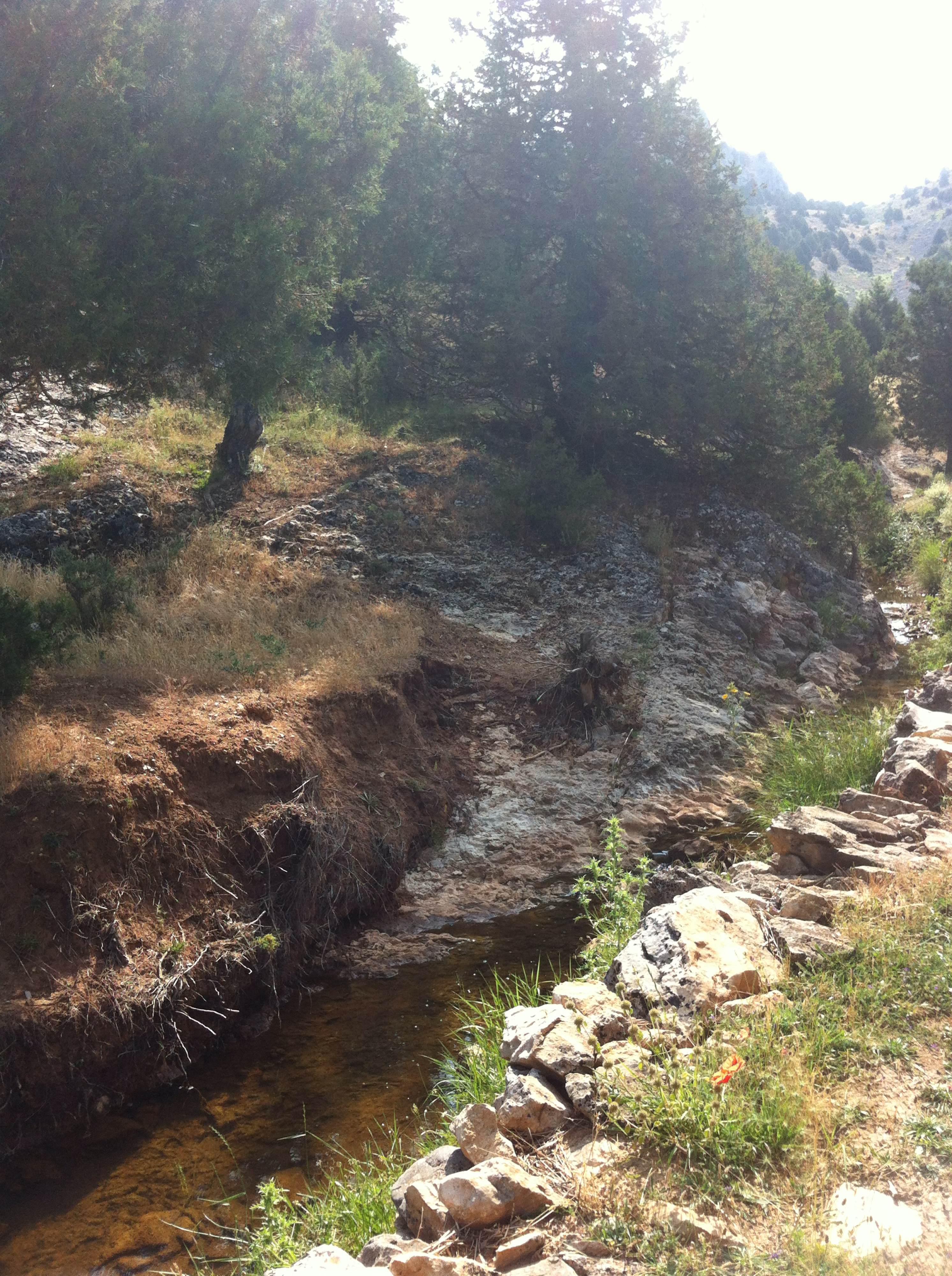 Pico del Águila, por Beth Rovira