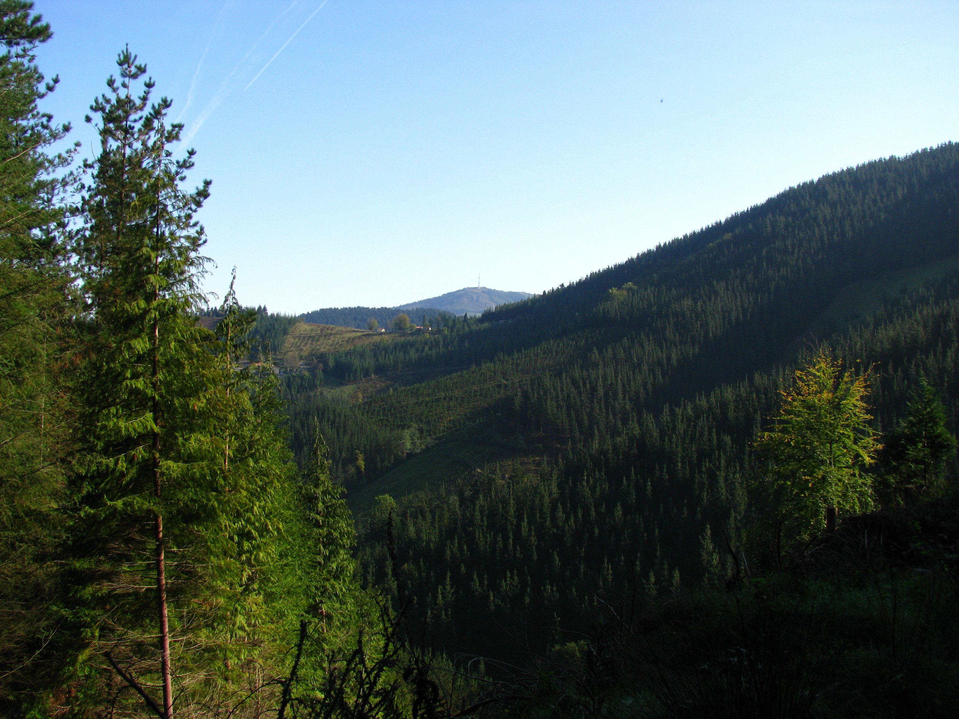 Sendero Unbe-Asurtza, por Lonifasiko