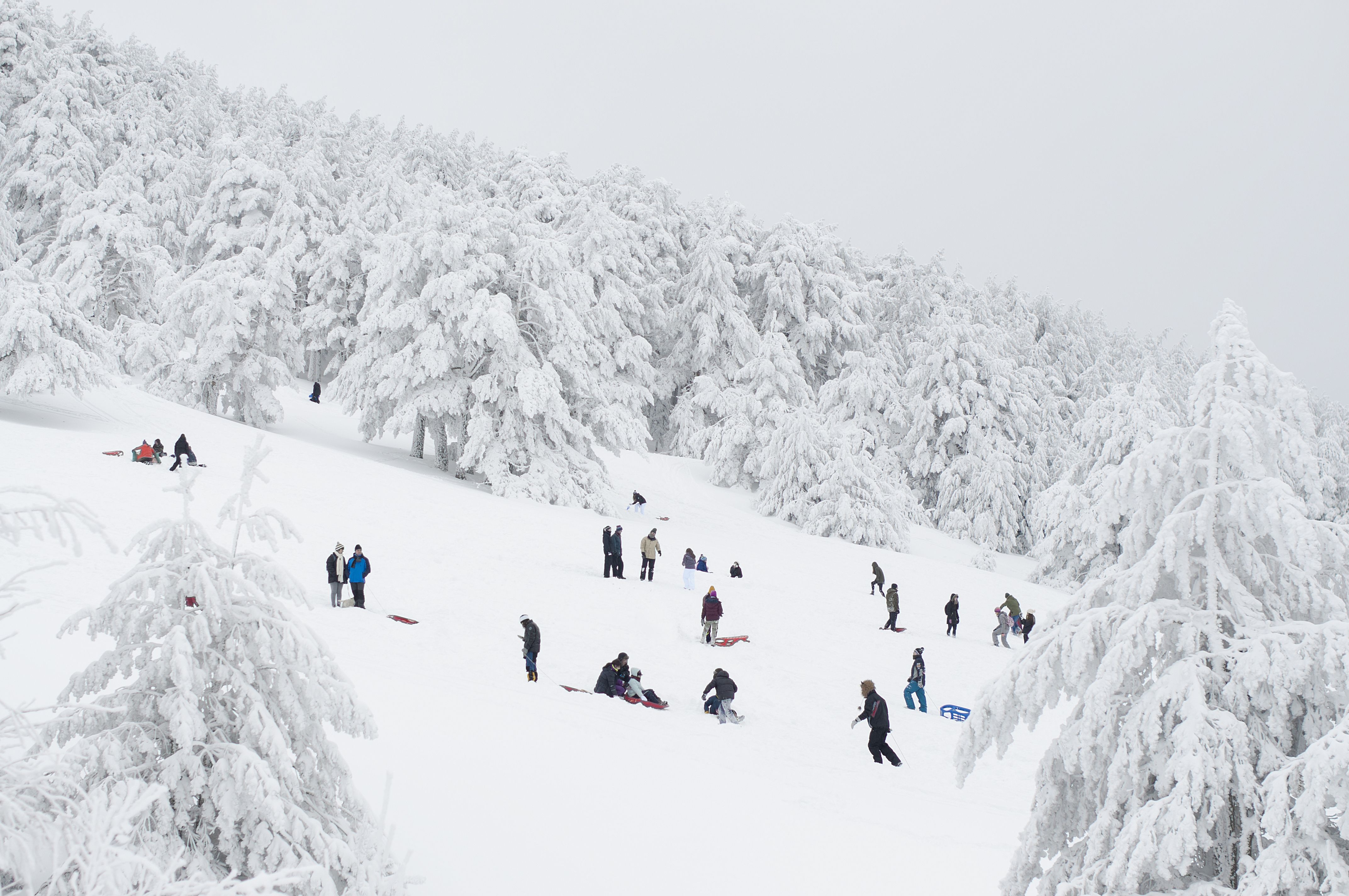 Puerto de Cotos nevado, por Lorenzo Falcao