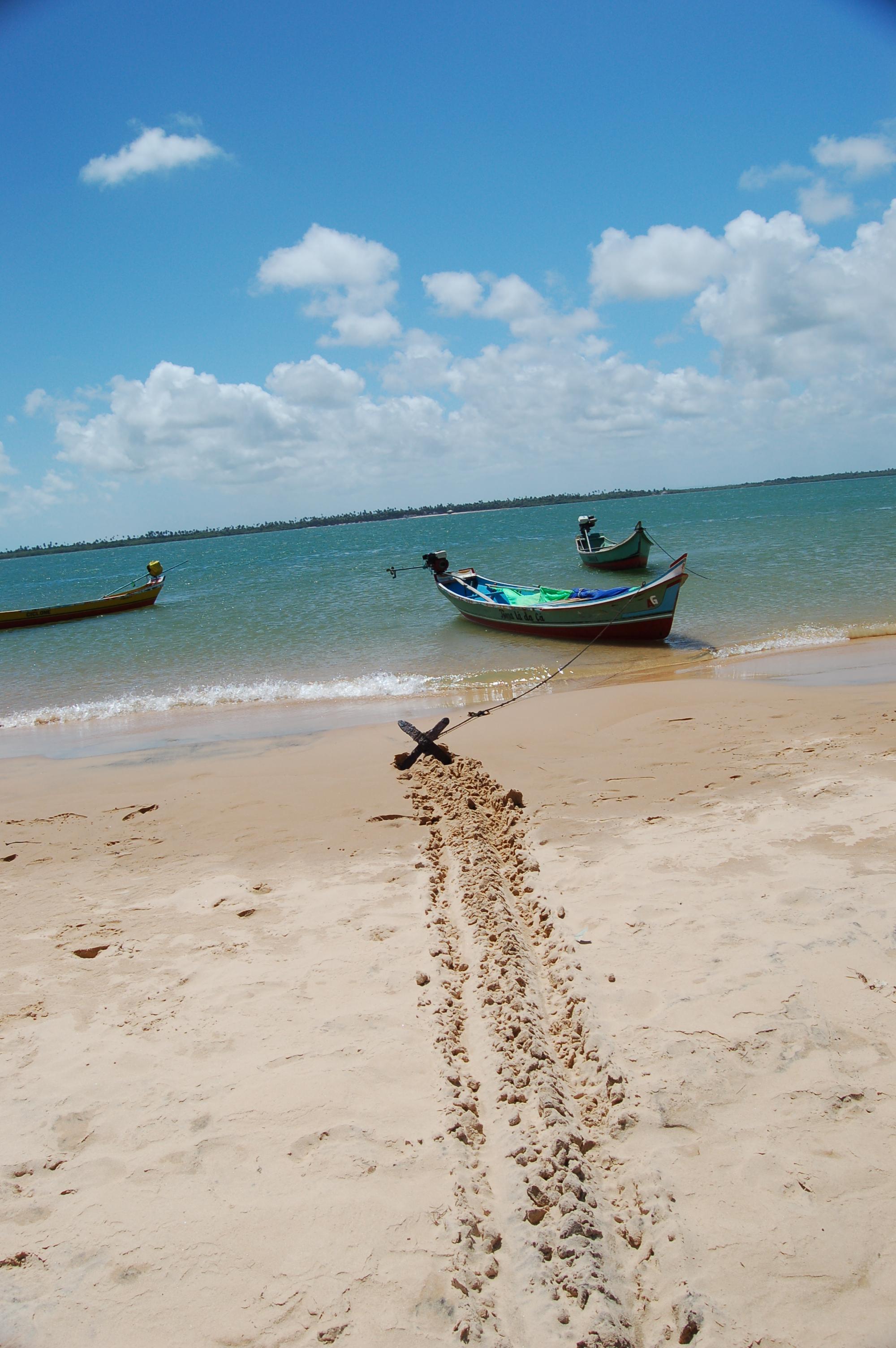 Delta do Rio São Francisco, por Daniel Kazuhissa Hatano