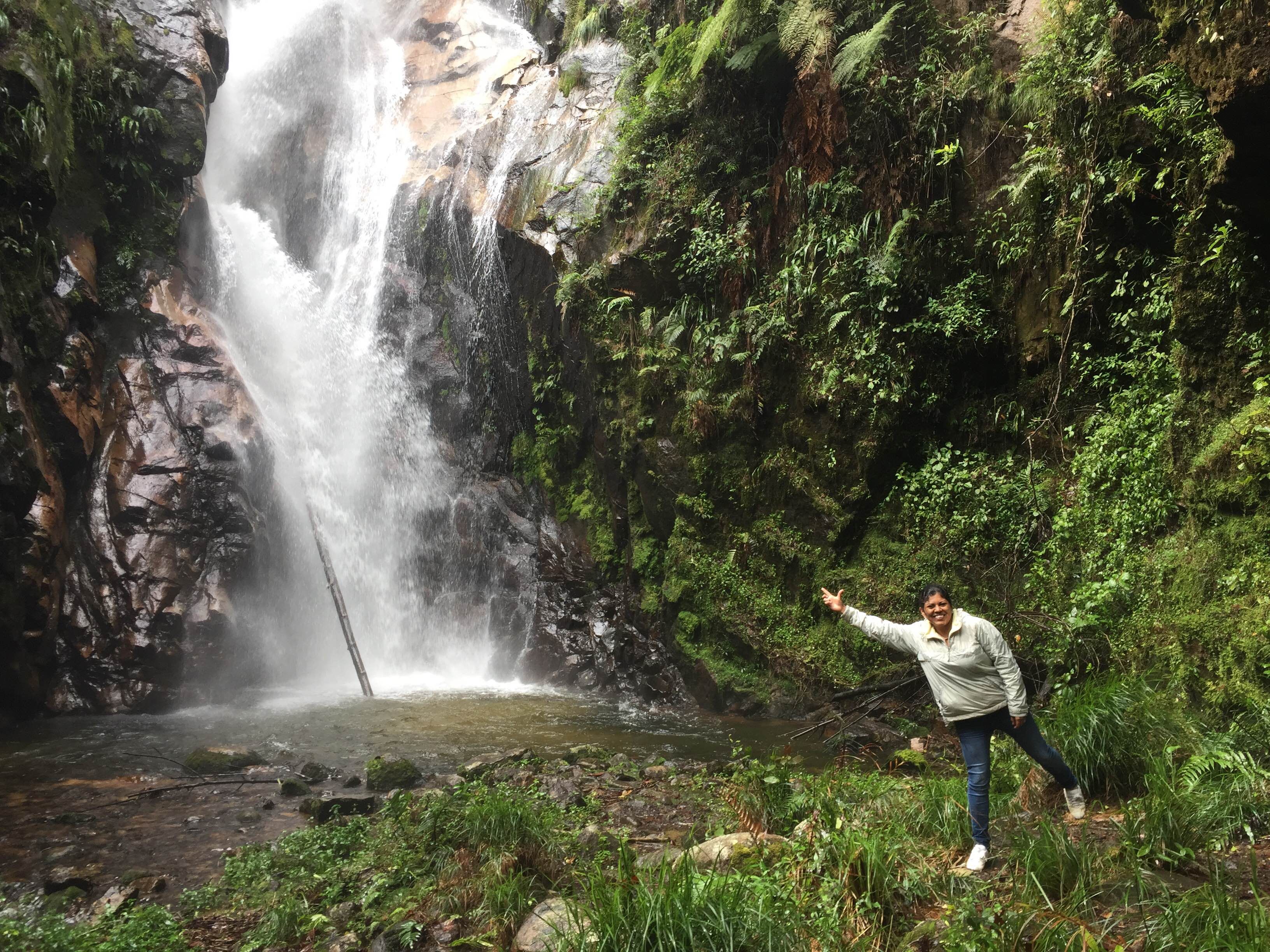 Parque nacional Cusuco, por Yolanda Ponce de Hernandez