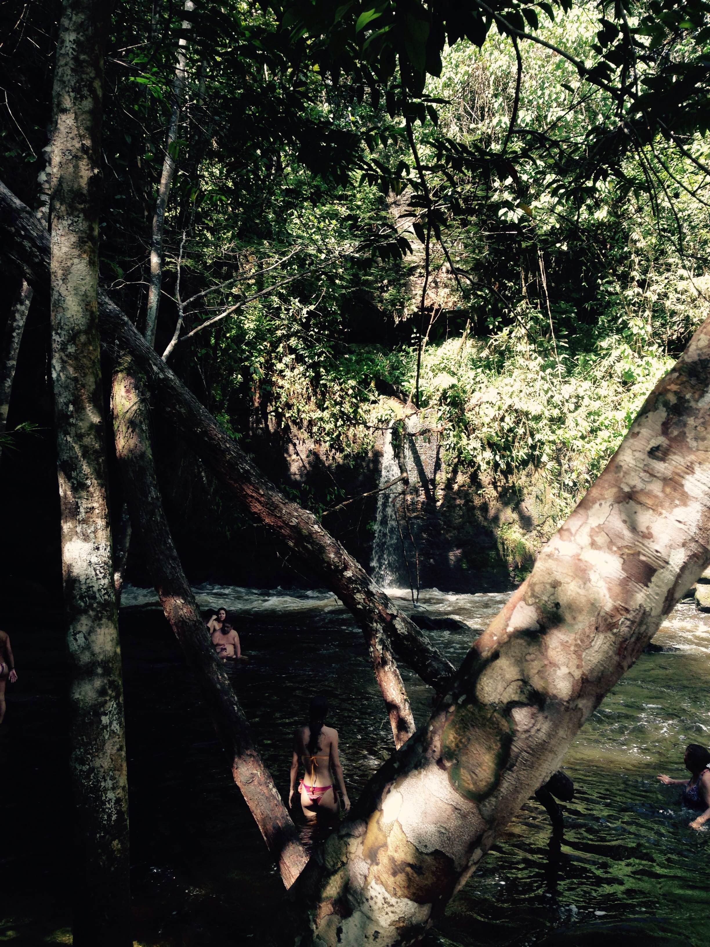 Reserva Ecológica Cachoeira Santuário, por Luiz Antonio Piratelli