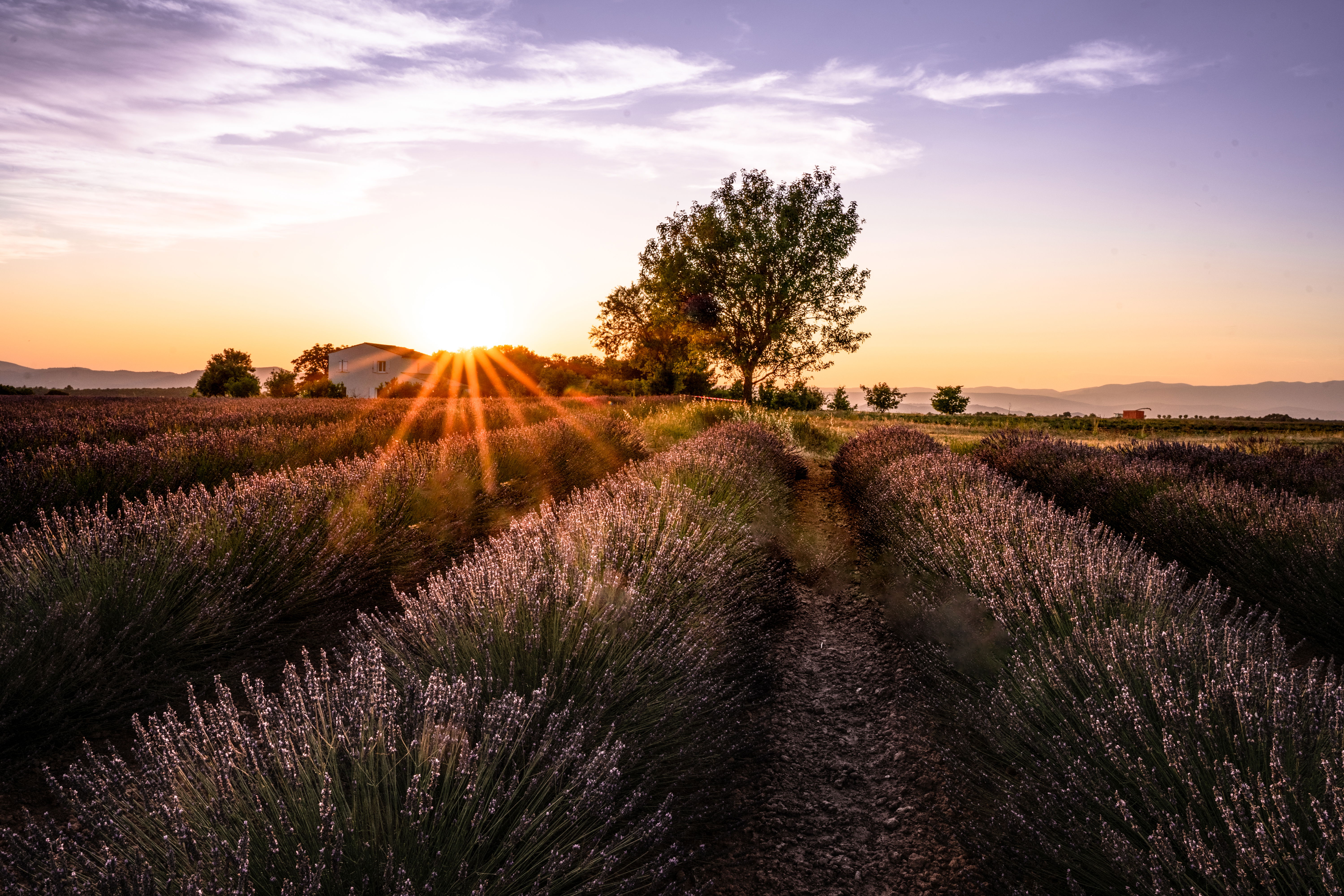 Descubre los valles más sorprendentes de Francia y su belleza natural