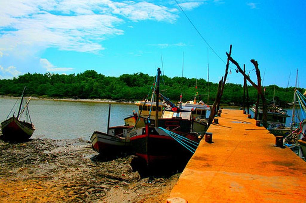 Fronhas Maranhenses, por Simone Diniz