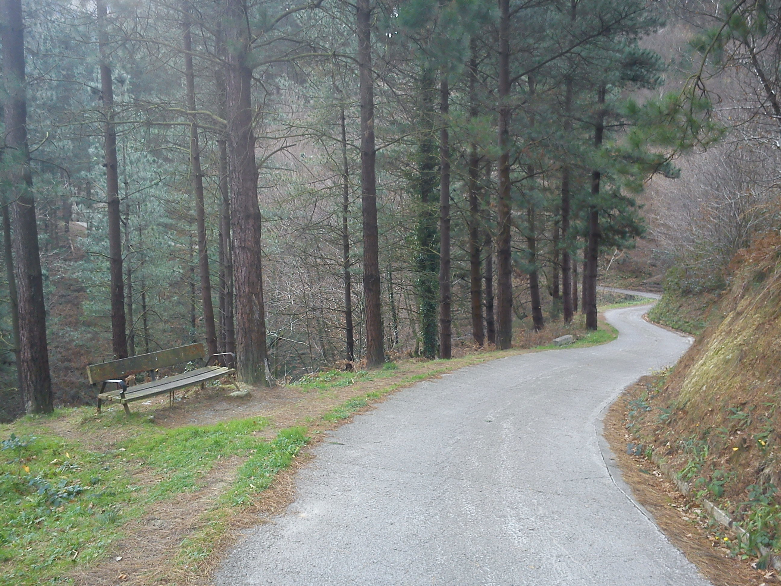 Paseo de Lekamendi, por Lonifasiko