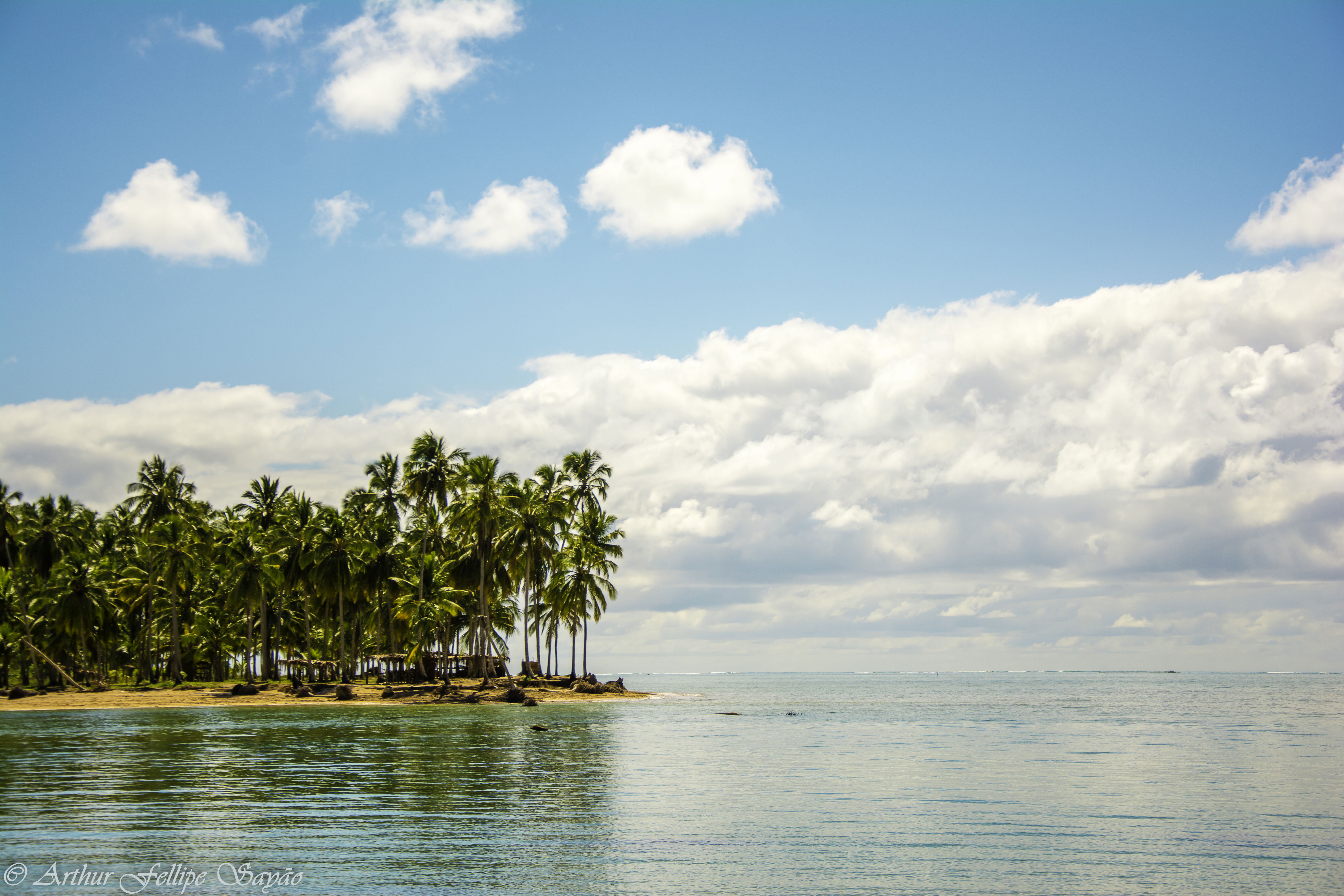 Playa de Tatuamunha, por Arthur Fellipe Sayão