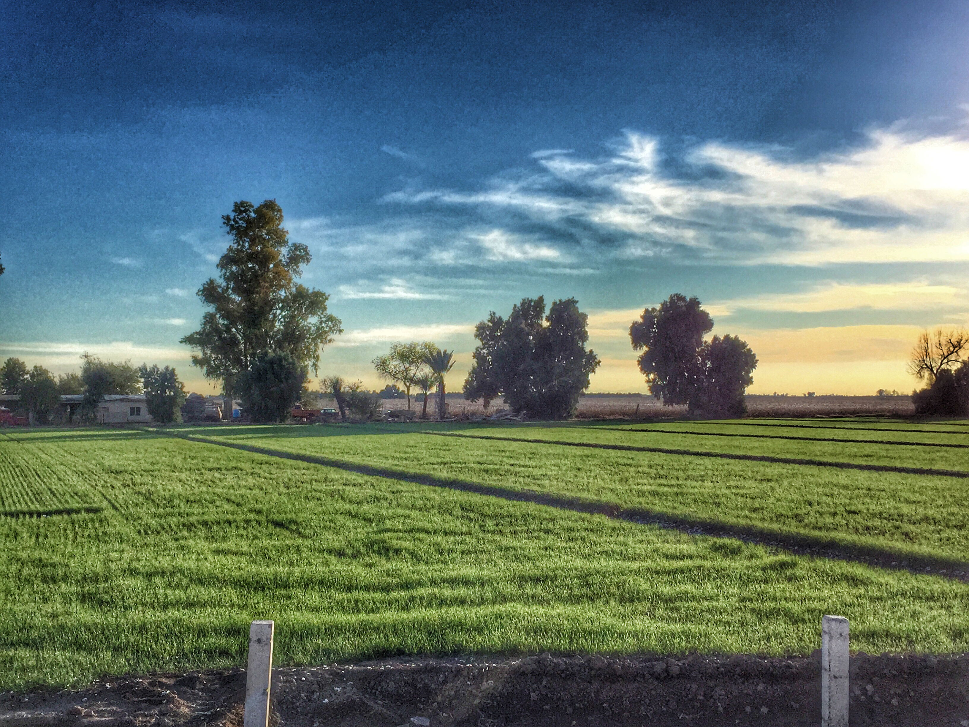 Valle de Mexicali, por Diana Patricia Montemayor Flores