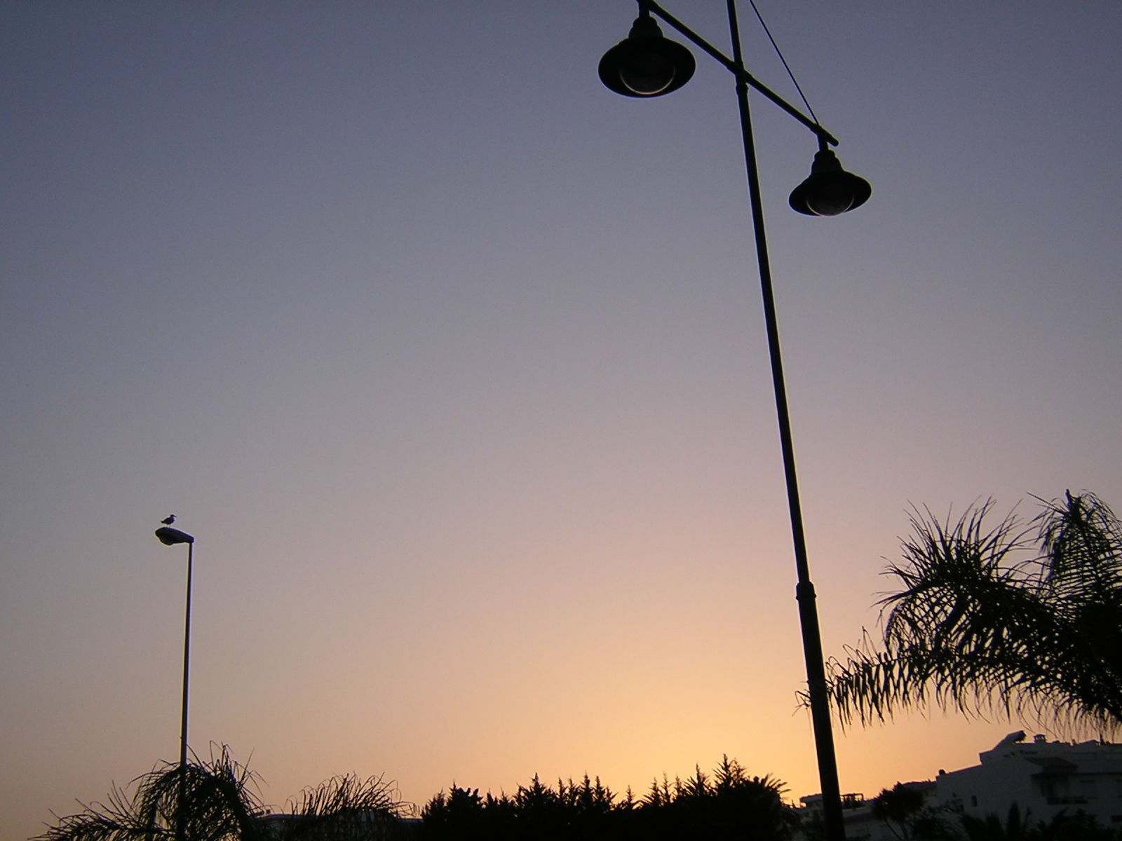 Paseo marítimo de Fuengirola, por VJE