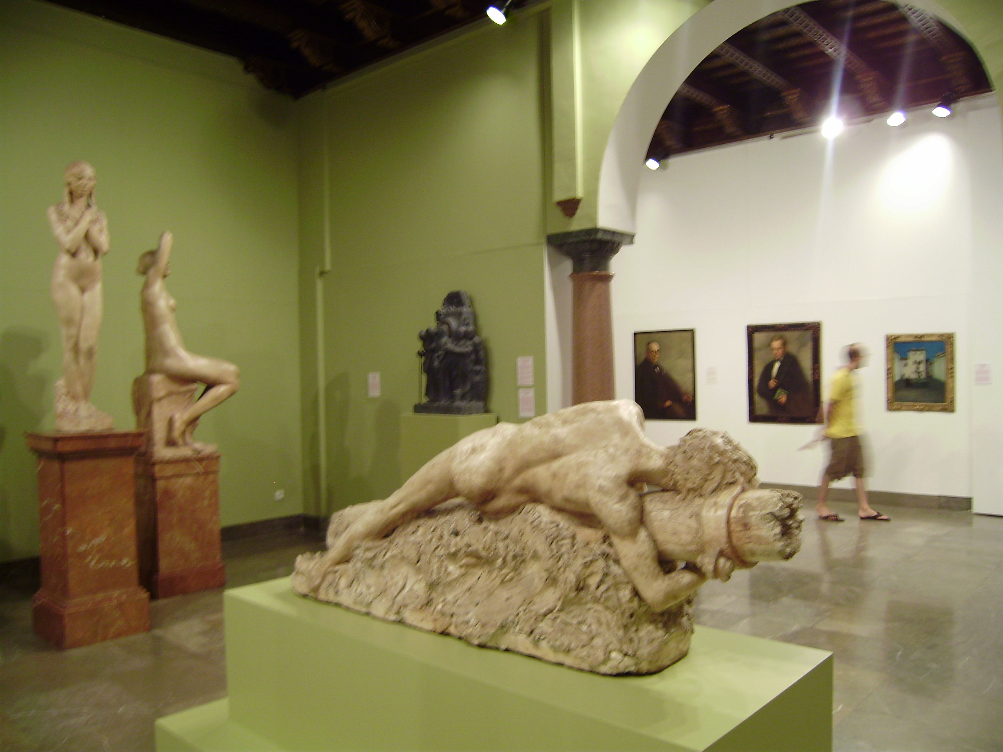 Museo de Bellas Artes, por Saudade