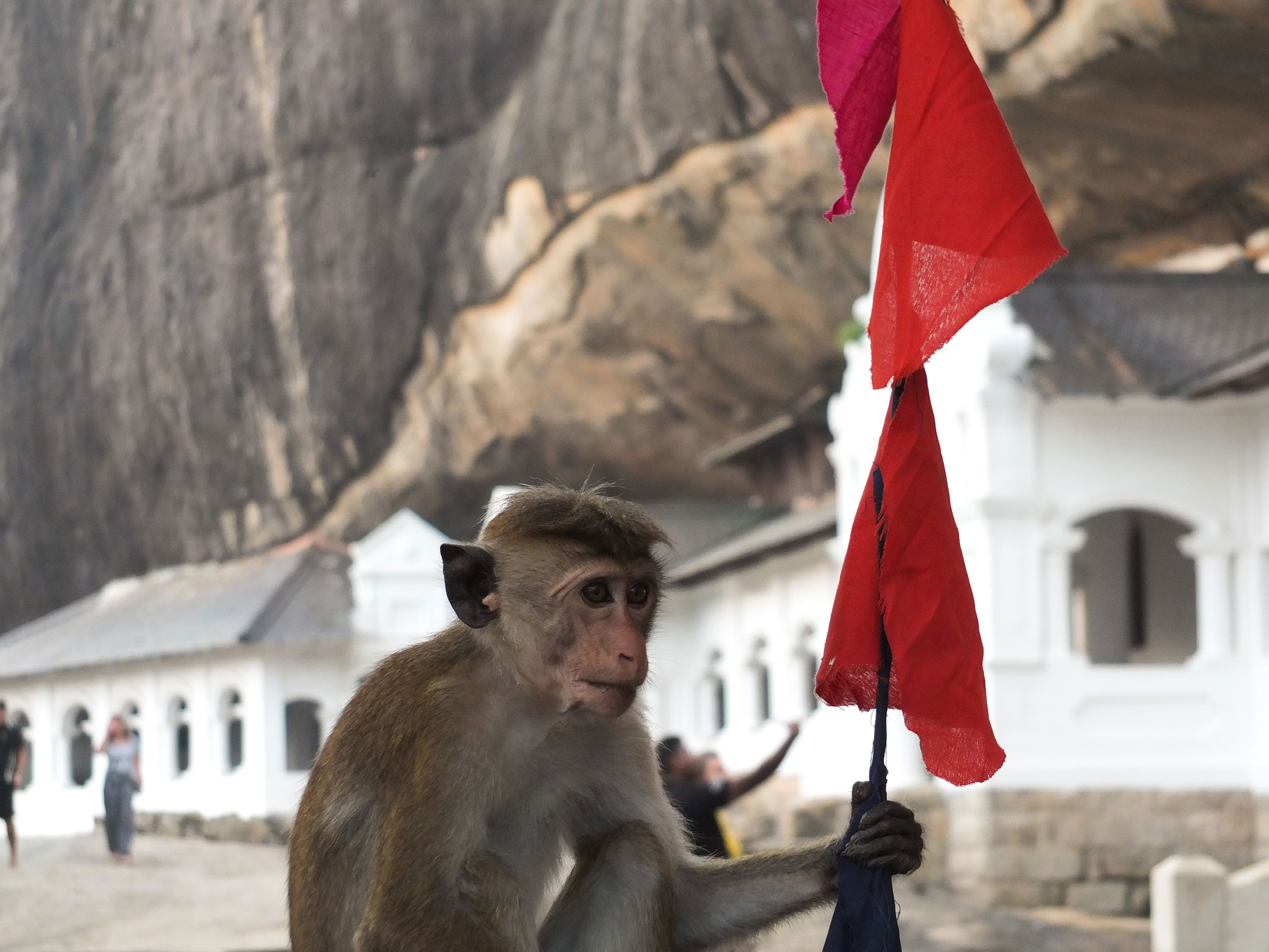 Monasterio de Dambulla, por Chris Pearrow