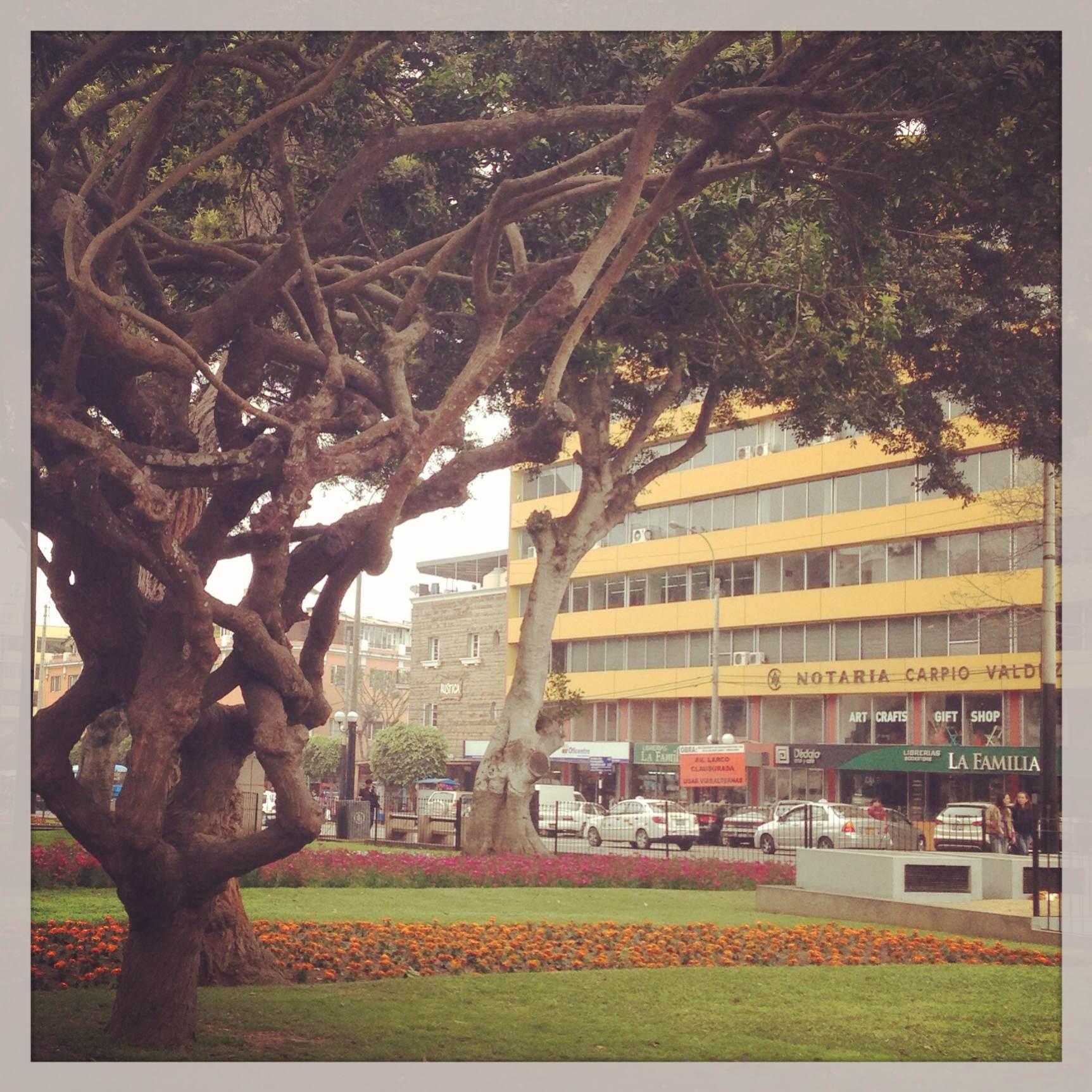 Parque Kennedy, por Lourdes Mendoza
