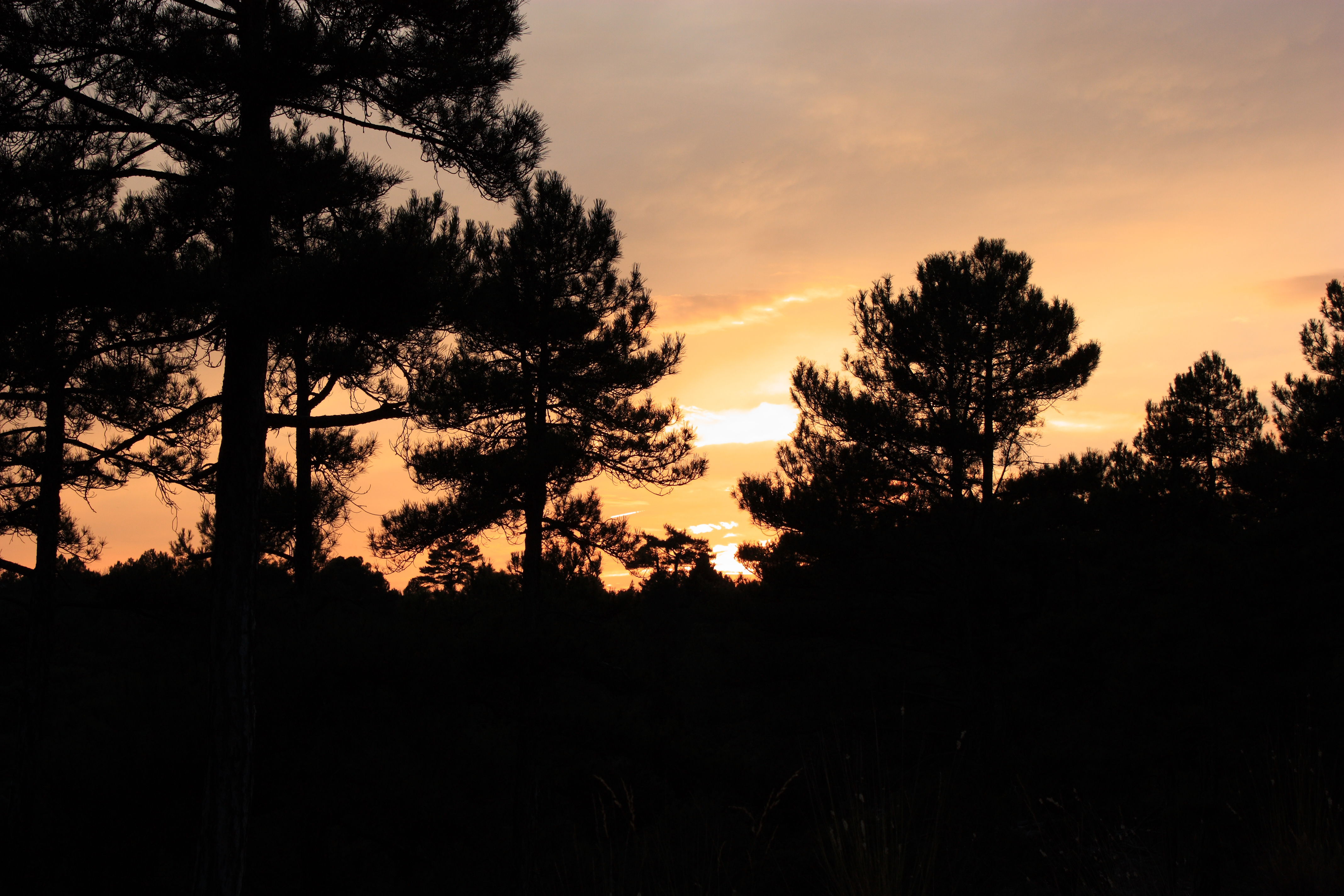 Parque Natural Del Alto Tajo, por José Oliveros Segura