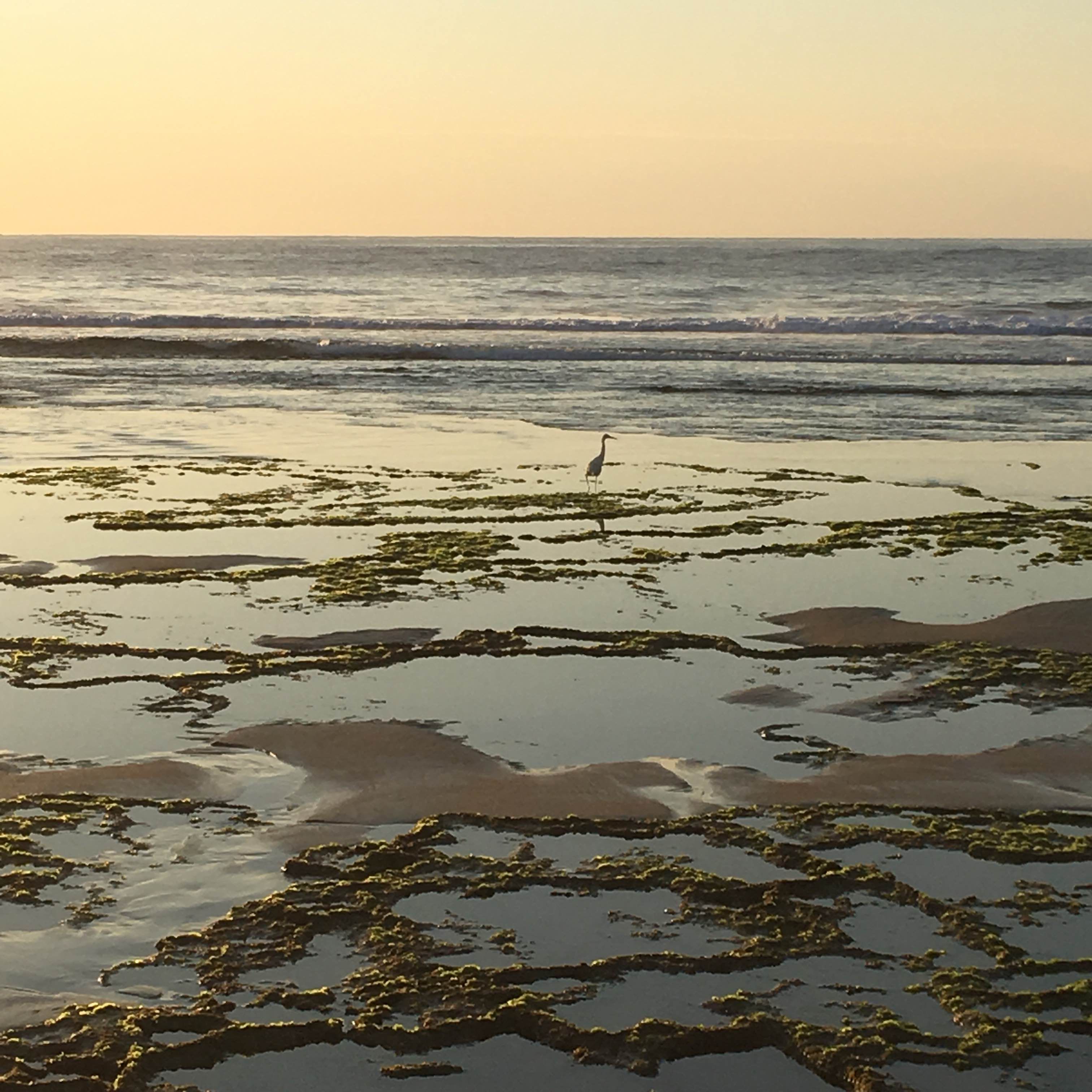 Playa Tofinho, por Irma Vazquez