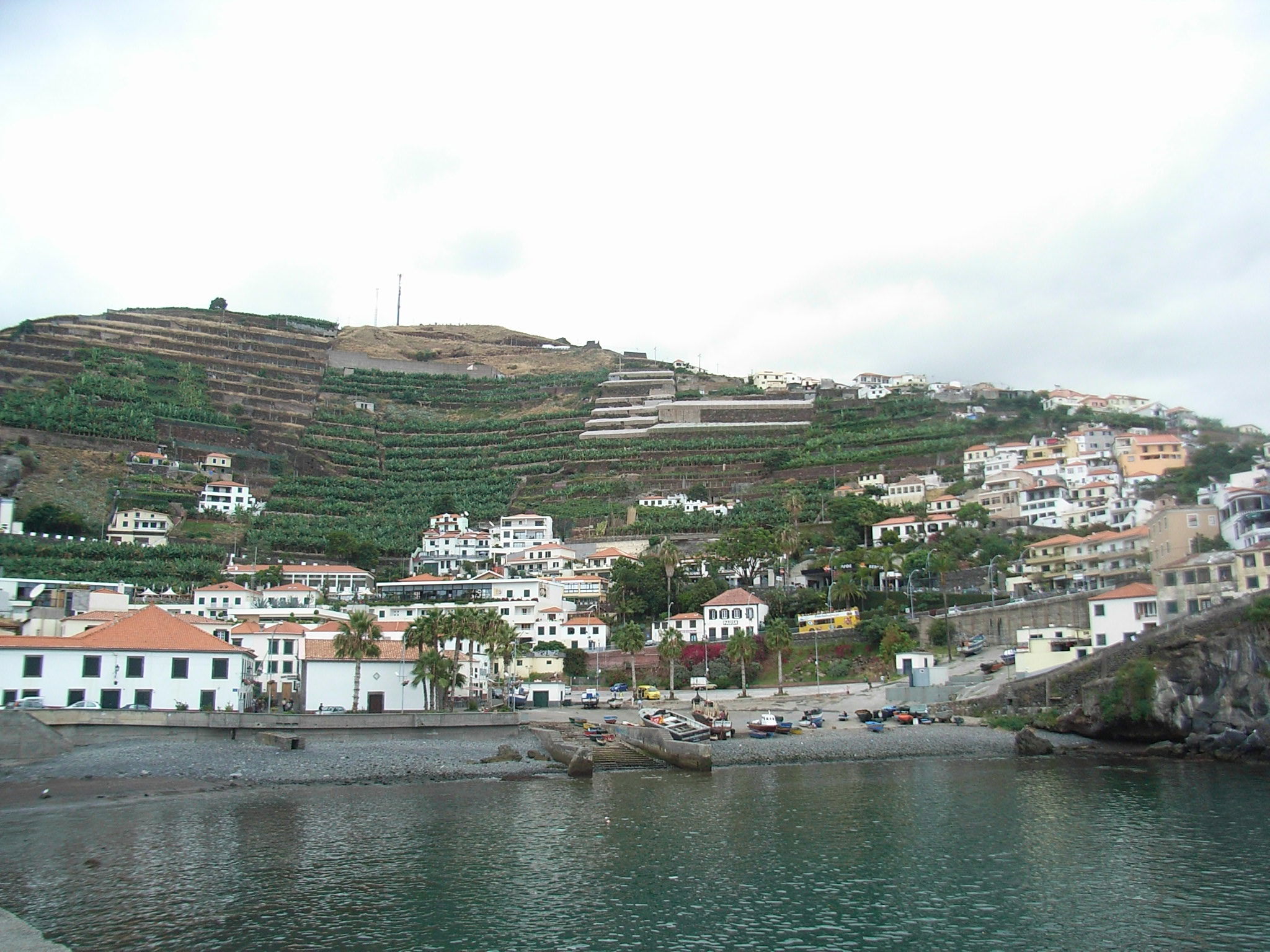 Costa de Madeira, por escola
