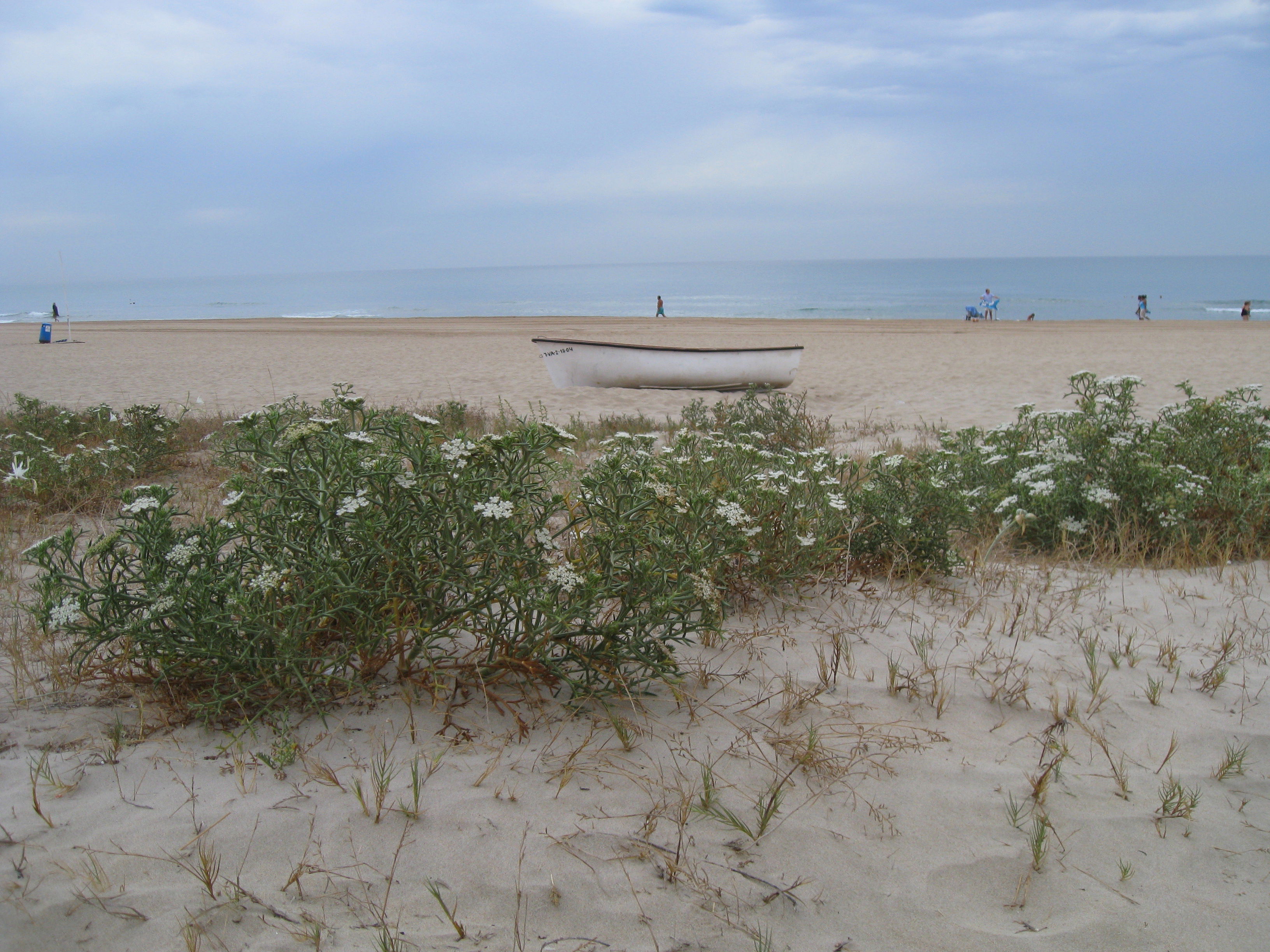 Playa de Xeraco, por Las sandalias de Ulises