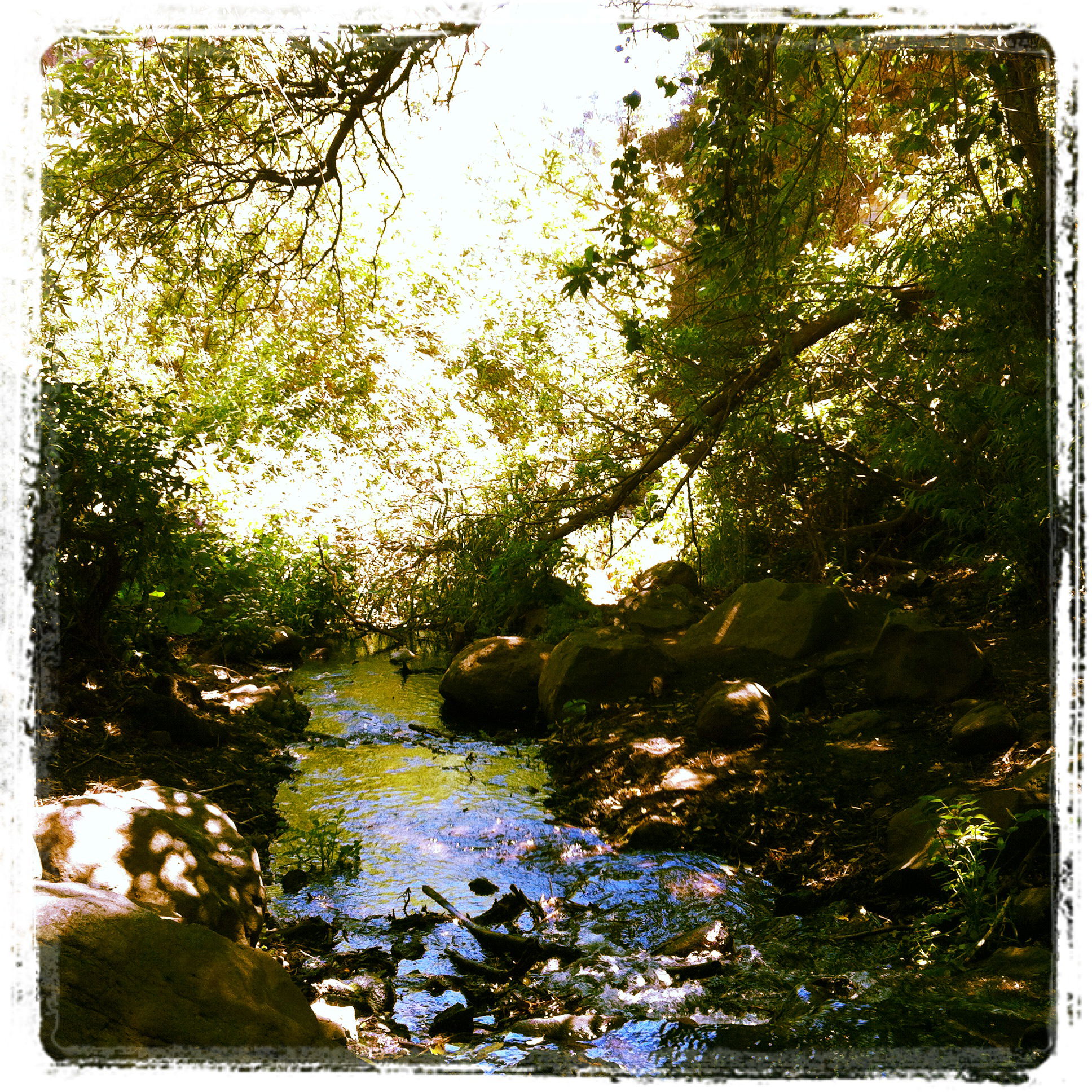 Barranco de Los Cernícalos, por TheWarmSide
