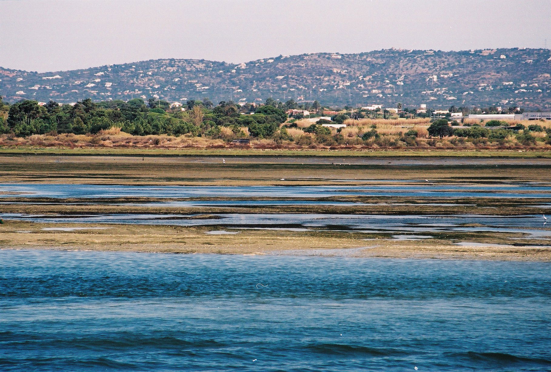 Isla de Armona, por YOLANDA CLEMENTE MARTIN