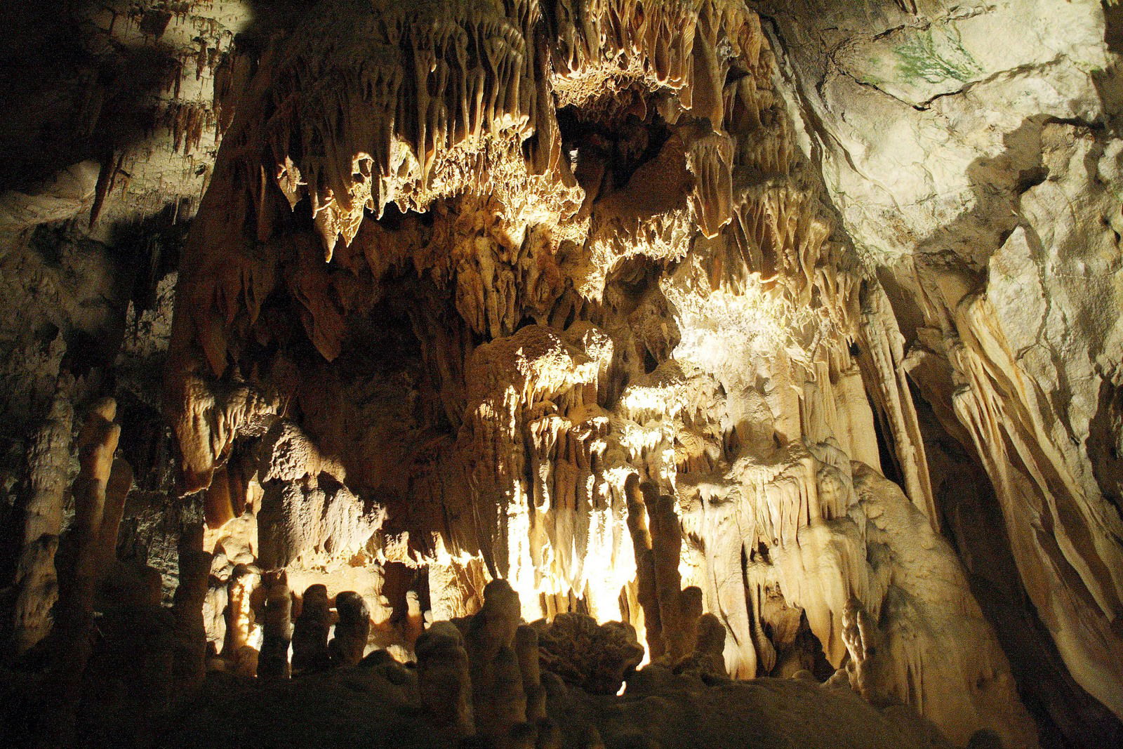 Grutas de Postojna, por Olga