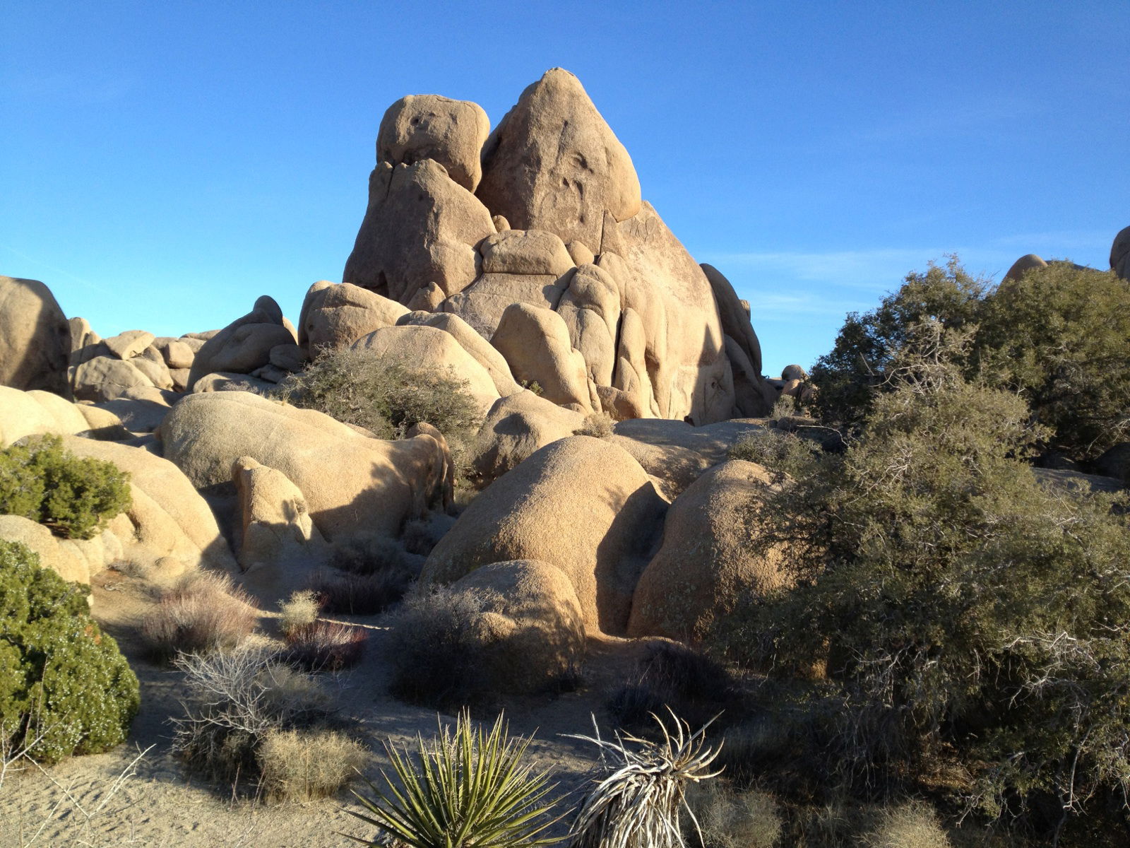 Parque nacional Joshua Tree, por Gonzalo Condes de Bethencourt