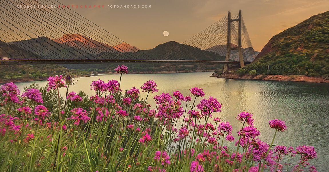 Embalse de los Barrios de Luna, por Francisco Domínguez Rodriguez
