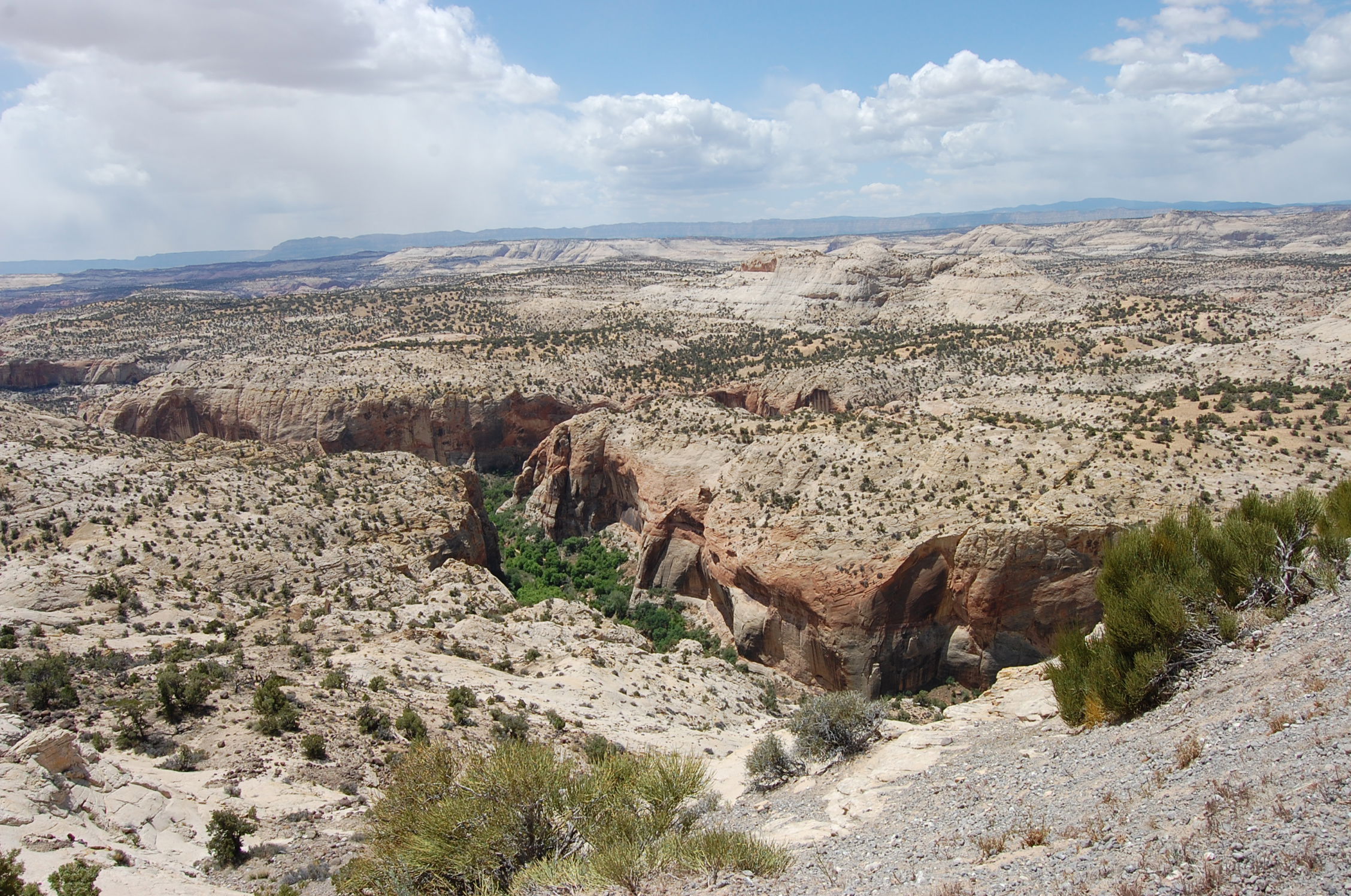 Scenic Byway, por Estela Lull (Hatsue)