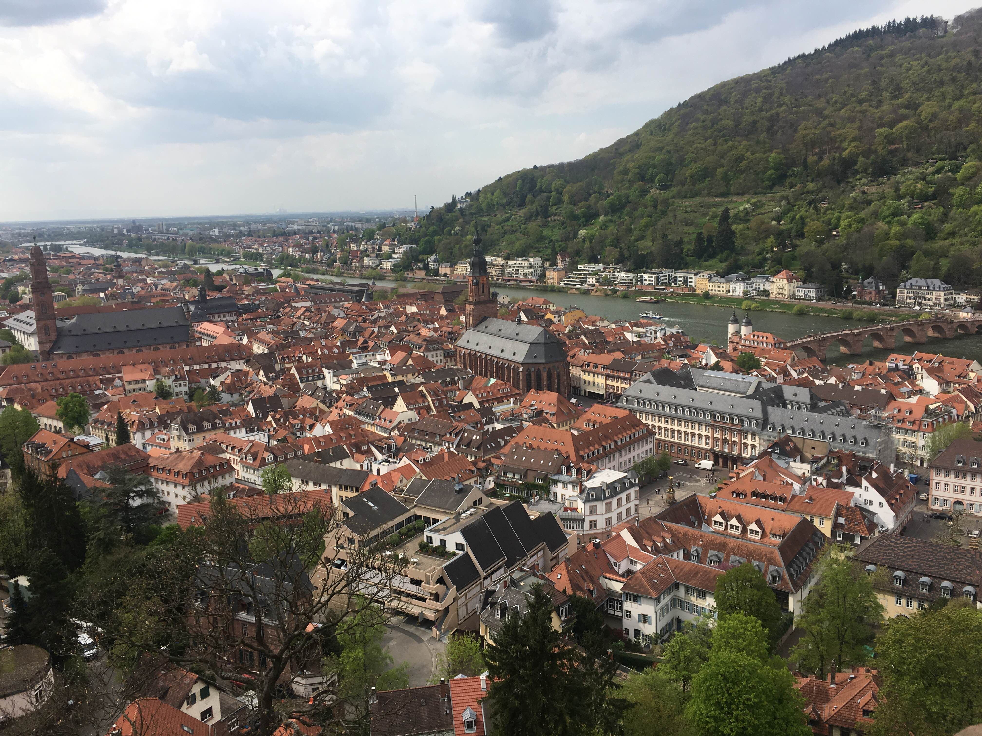 Aire libre en Heidelberg: descubre jardines y paisajes cautivadores