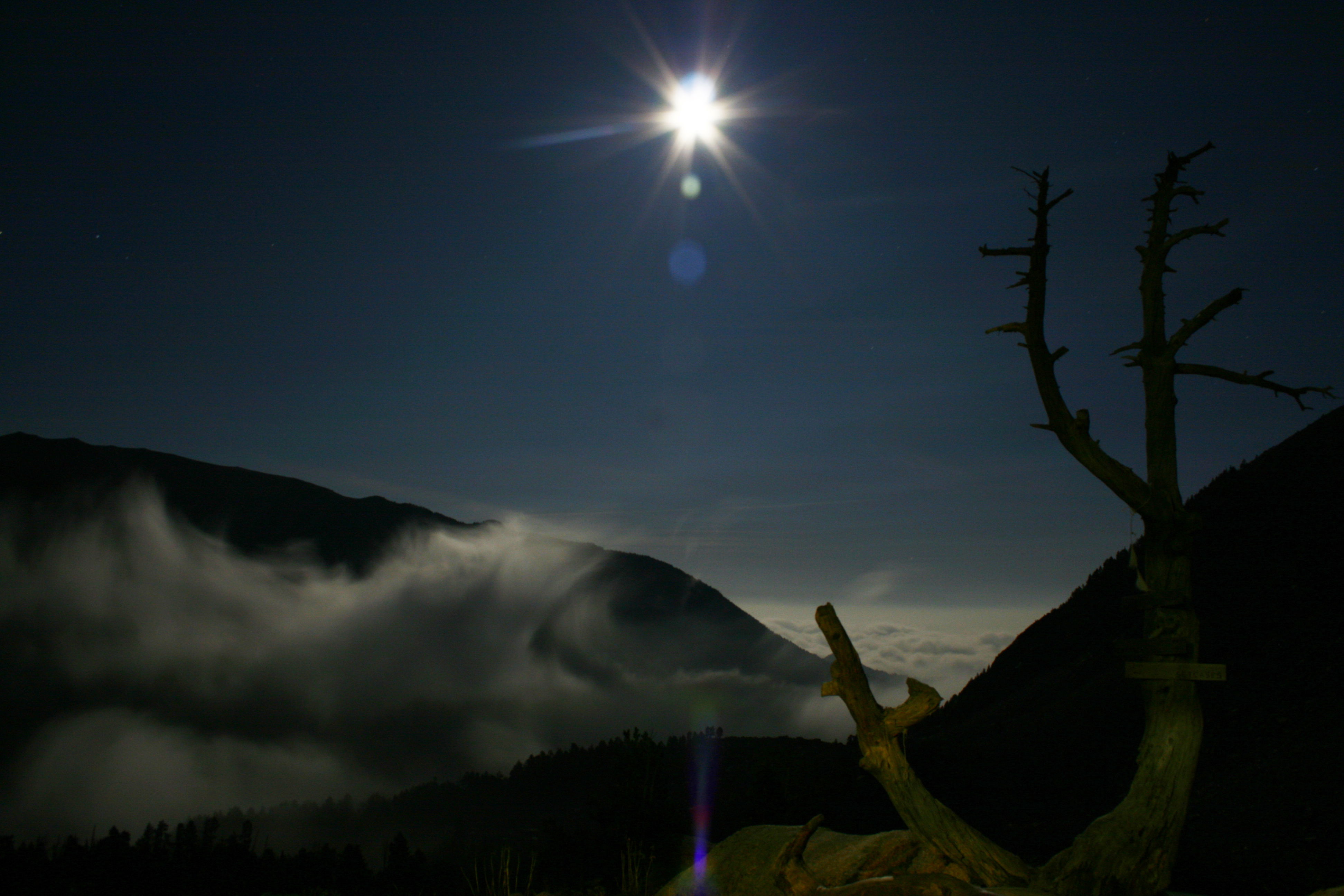 Bosque Ulldeter, por Noelia Duran Marimon