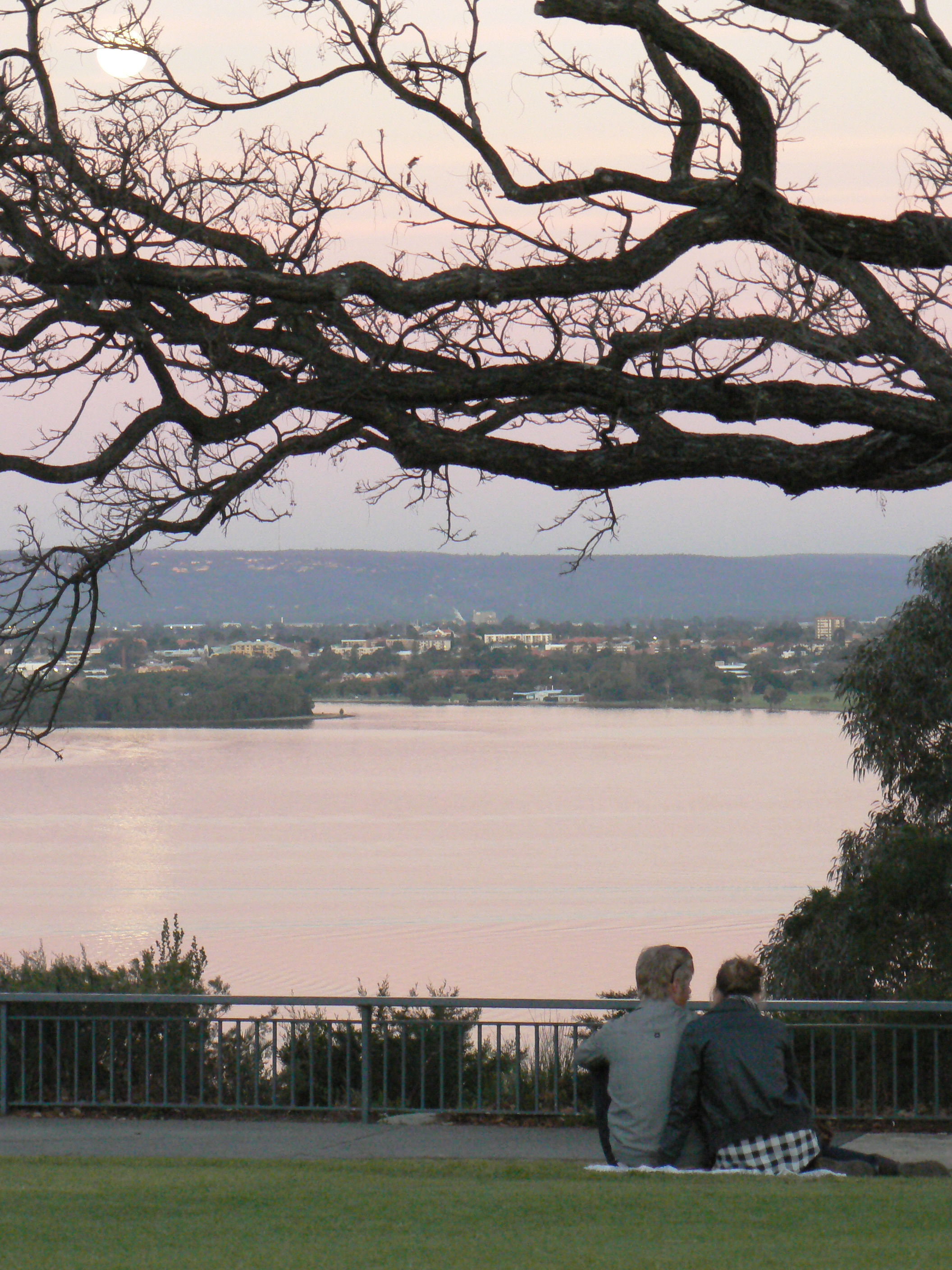 Kings Park, por milky