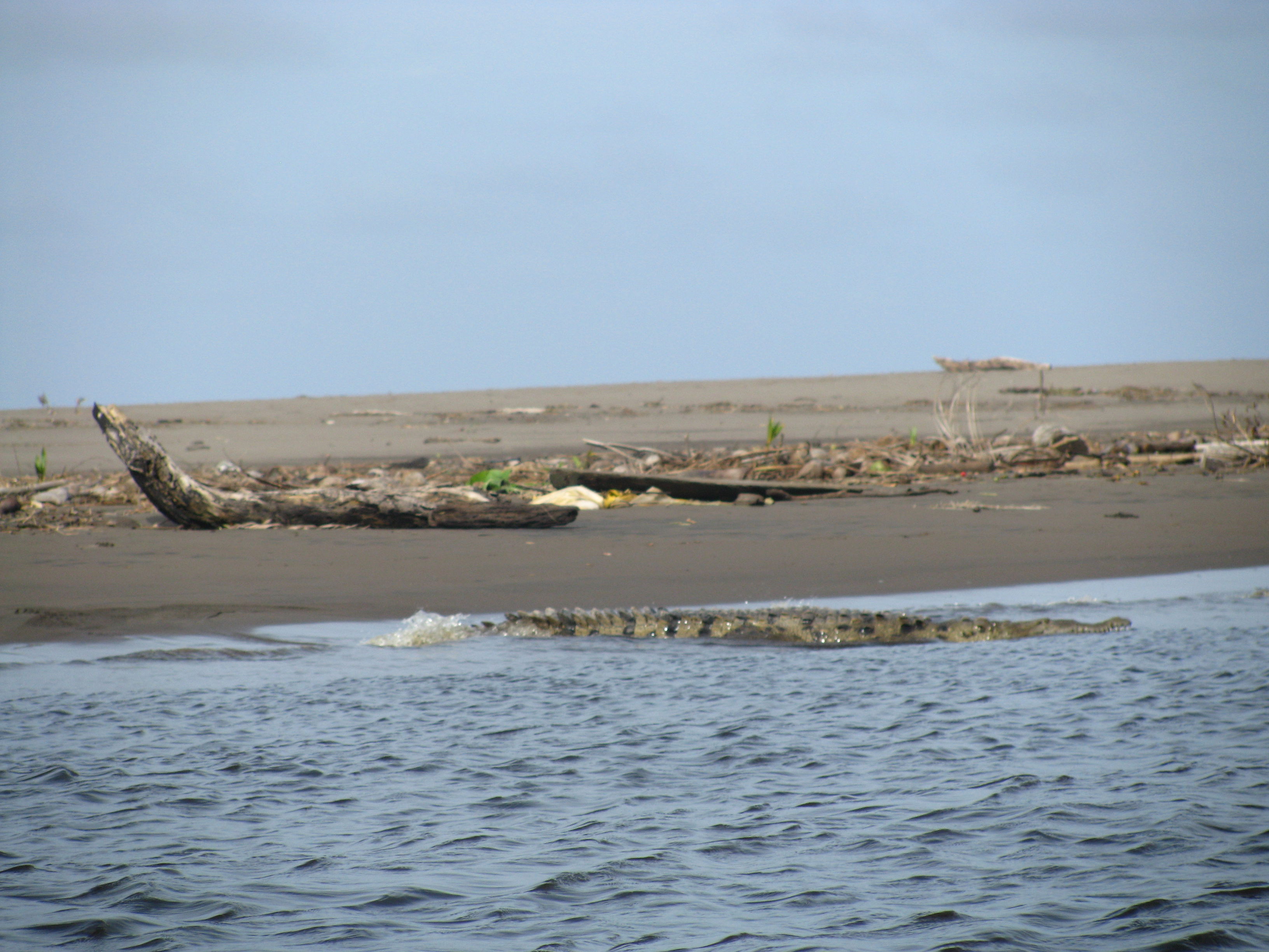 Boca del Río Tortuguero, por Lonifasiko