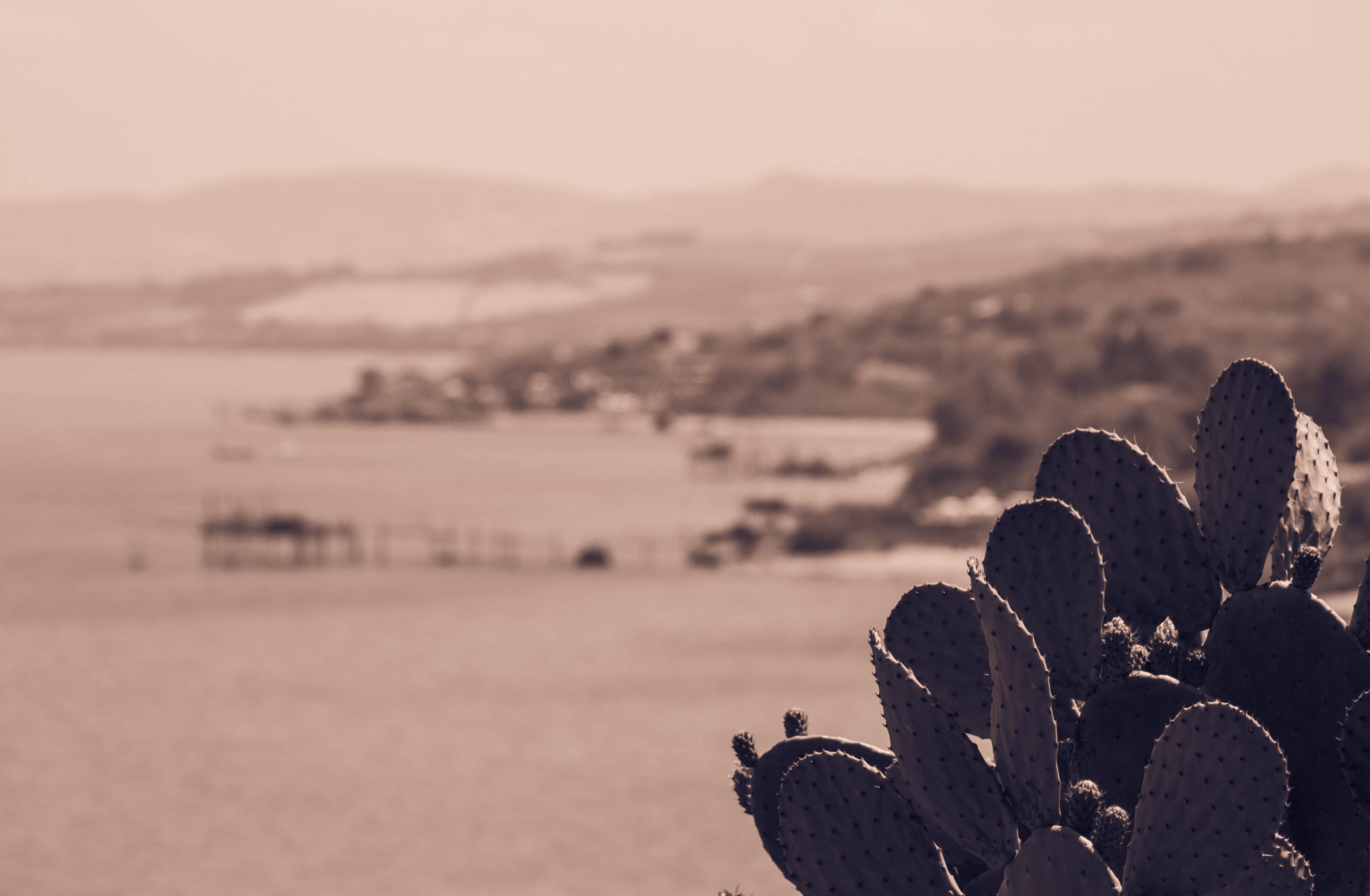 Vasto, por Francesco Laurora