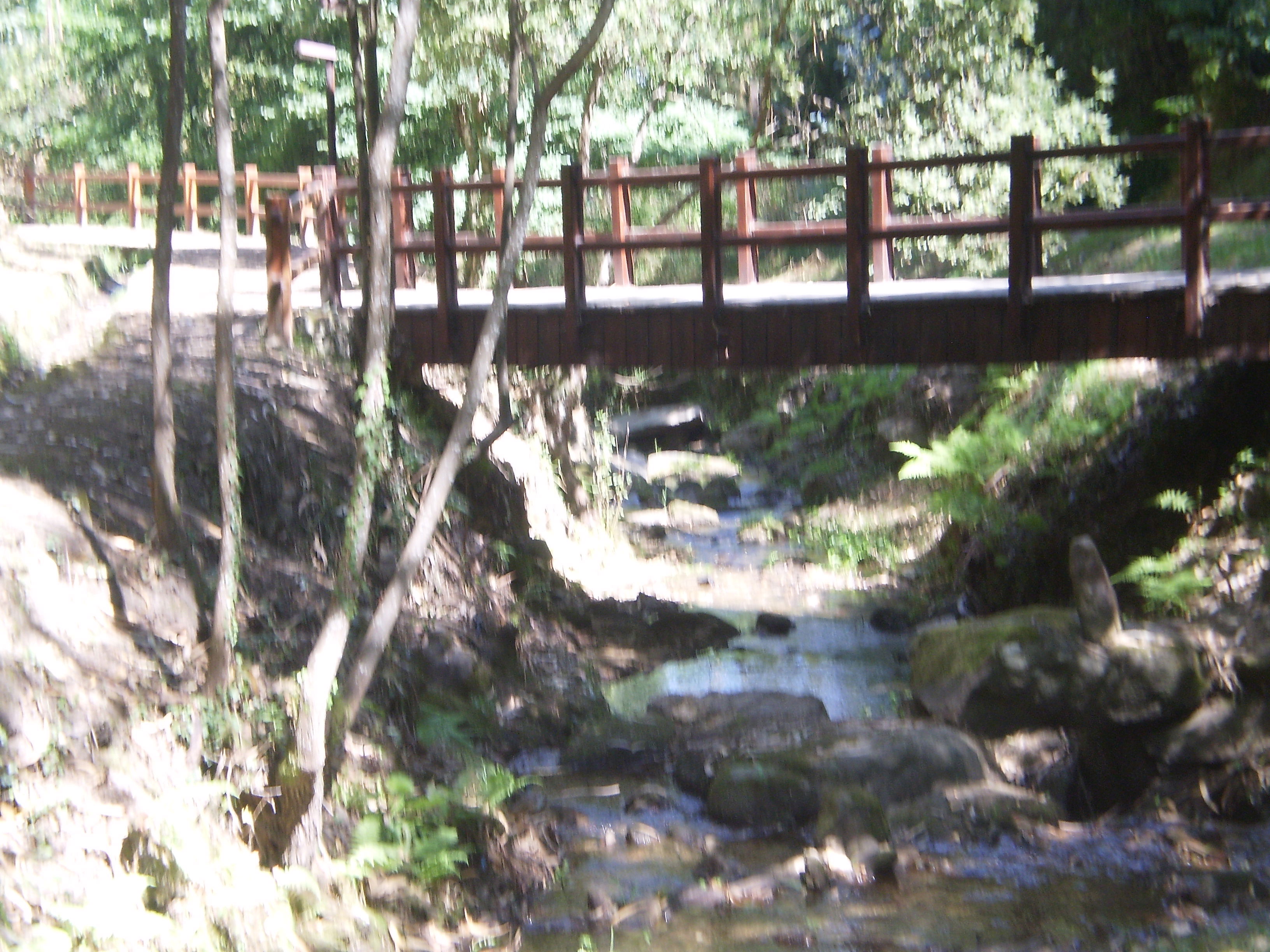 Senda Fluvial del rio San Martiño, por Sasa72