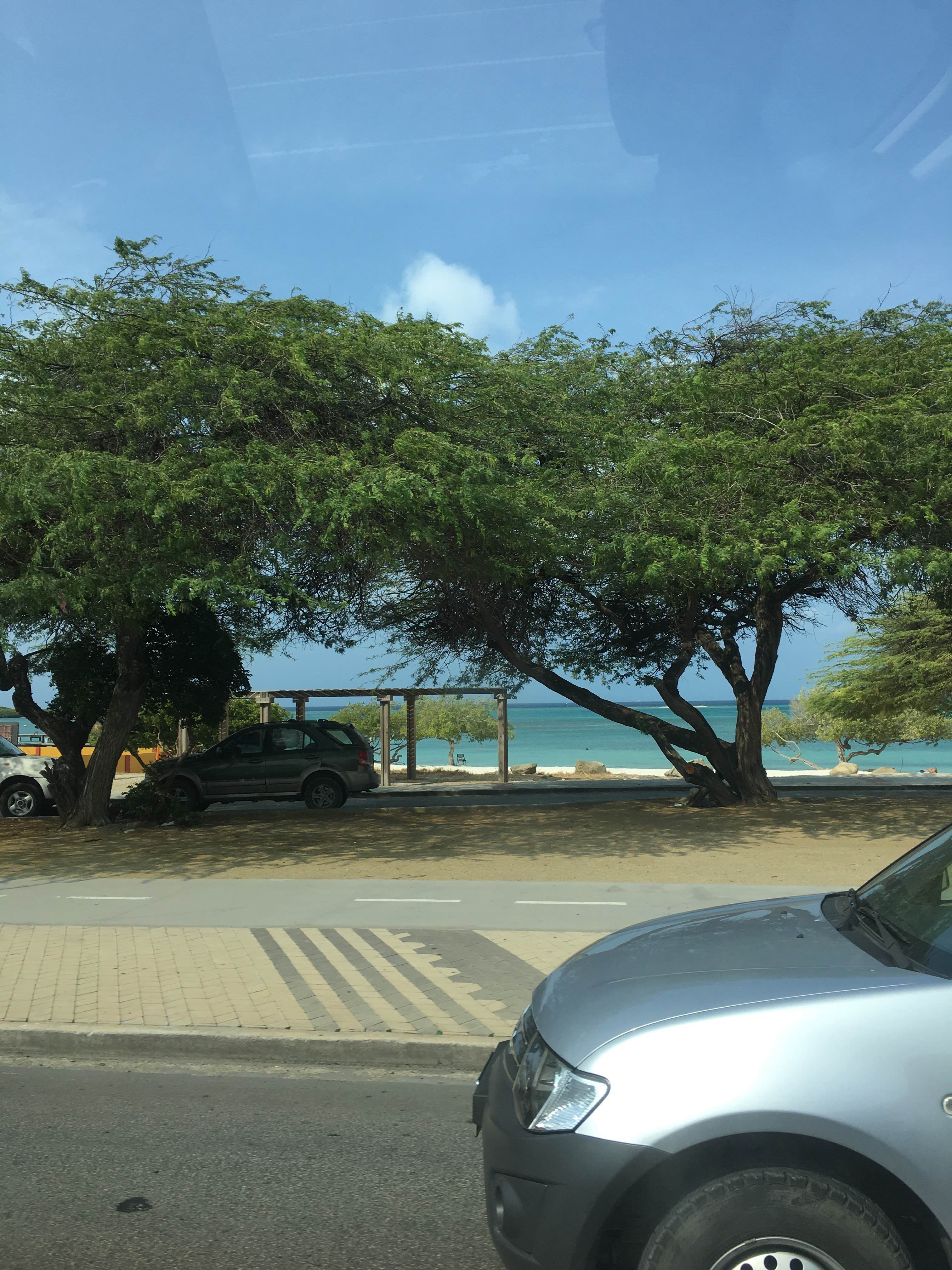 Playas de Aruba: un paraíso de aguas turquesas y arenas blancas